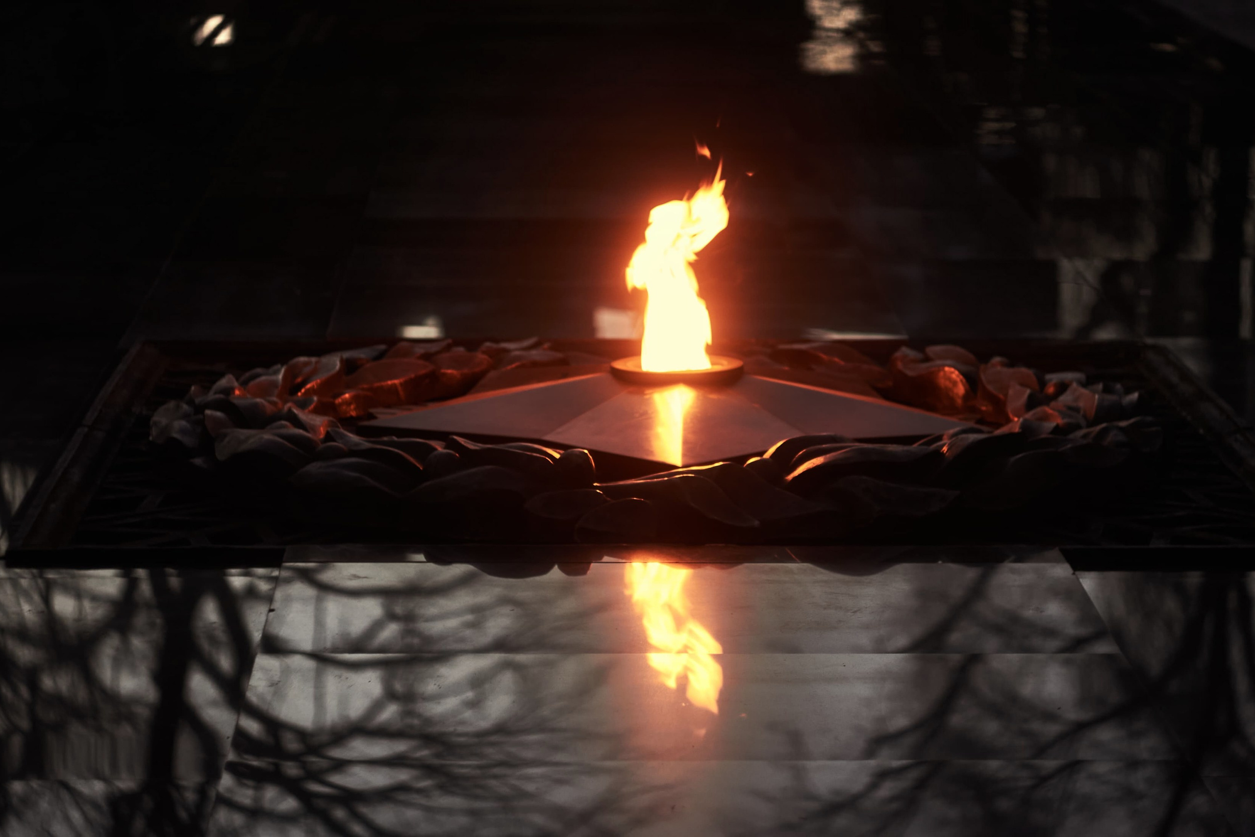 | Между Черным и&nbsp;Белым |