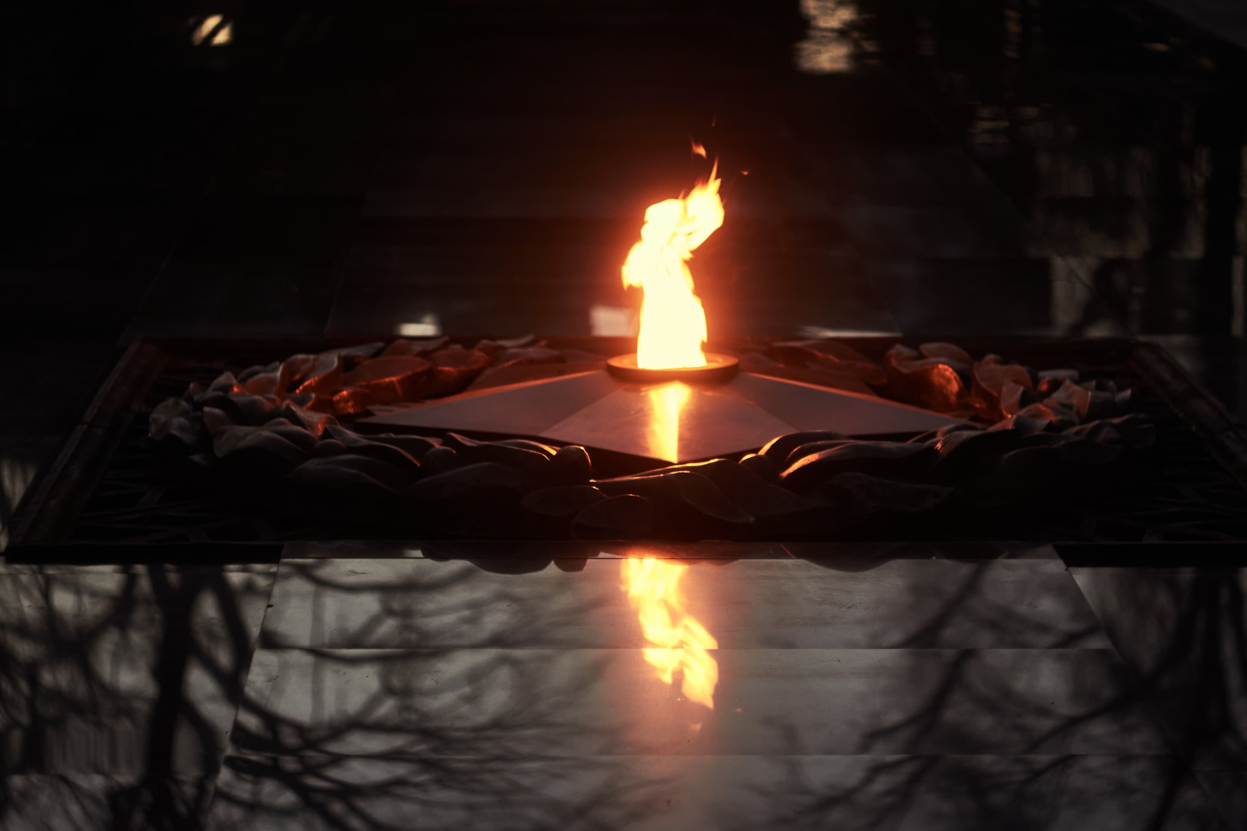 | Между Черным и Белым |