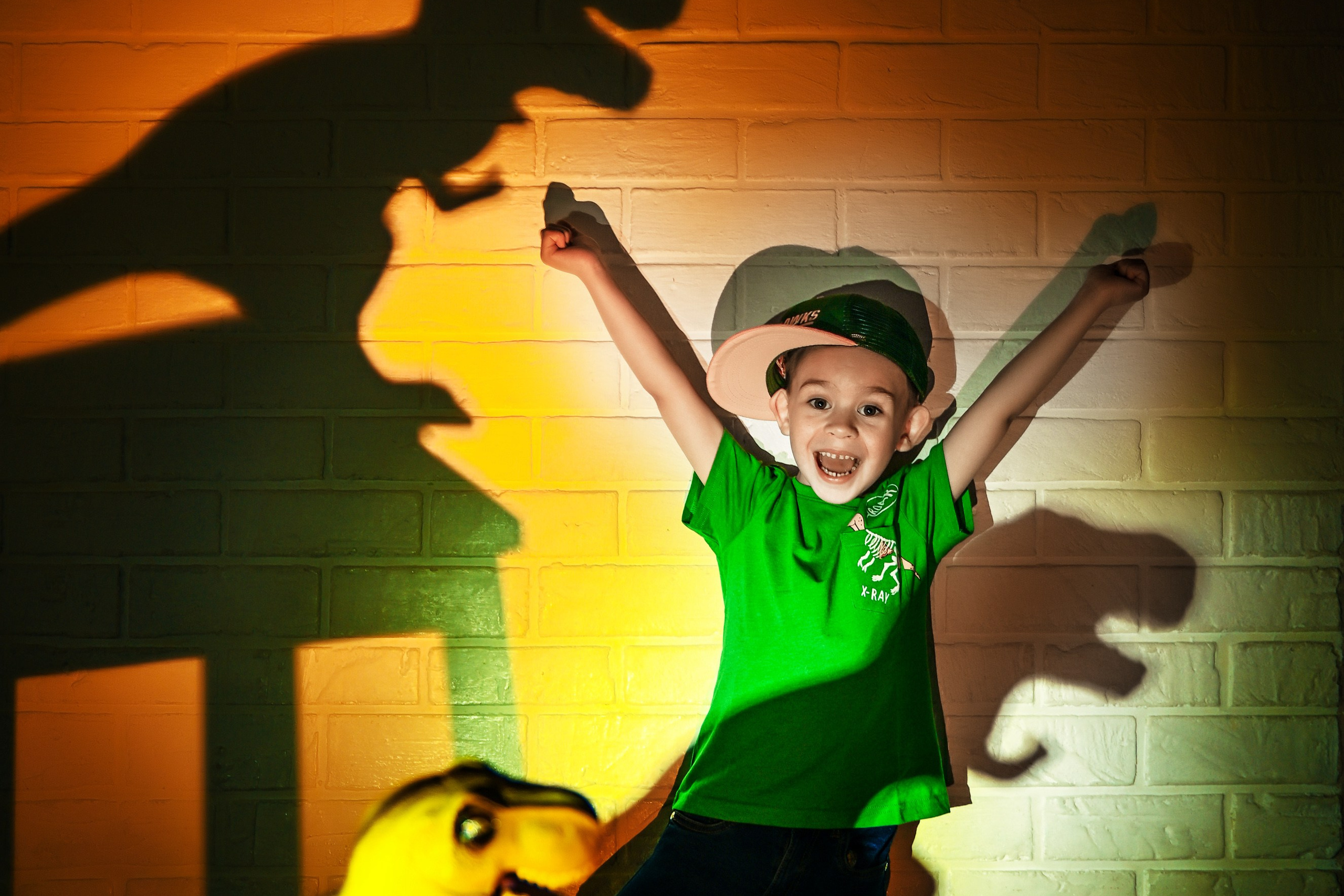 Детская с Динозаврами на 5 лет