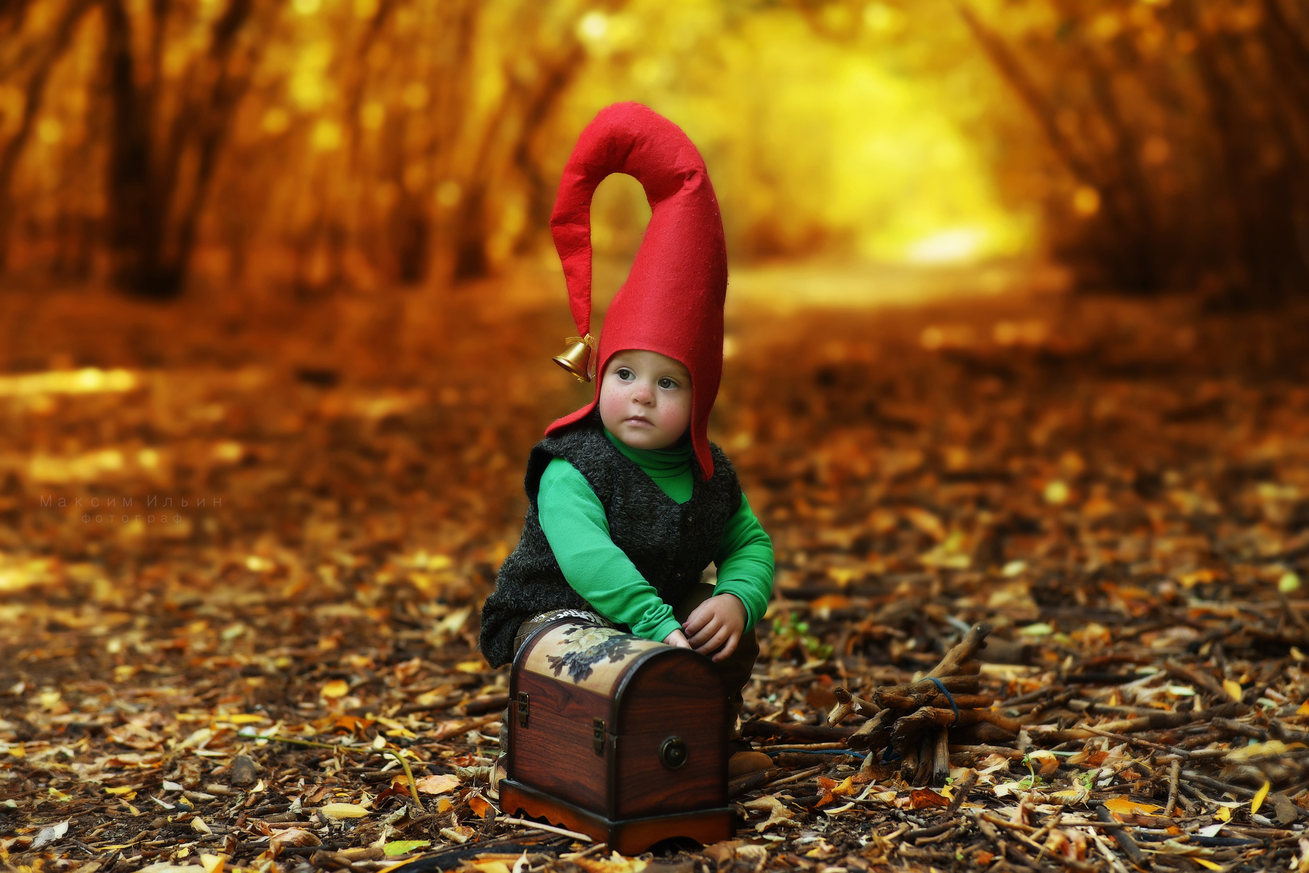 Детская, Лесной гномик