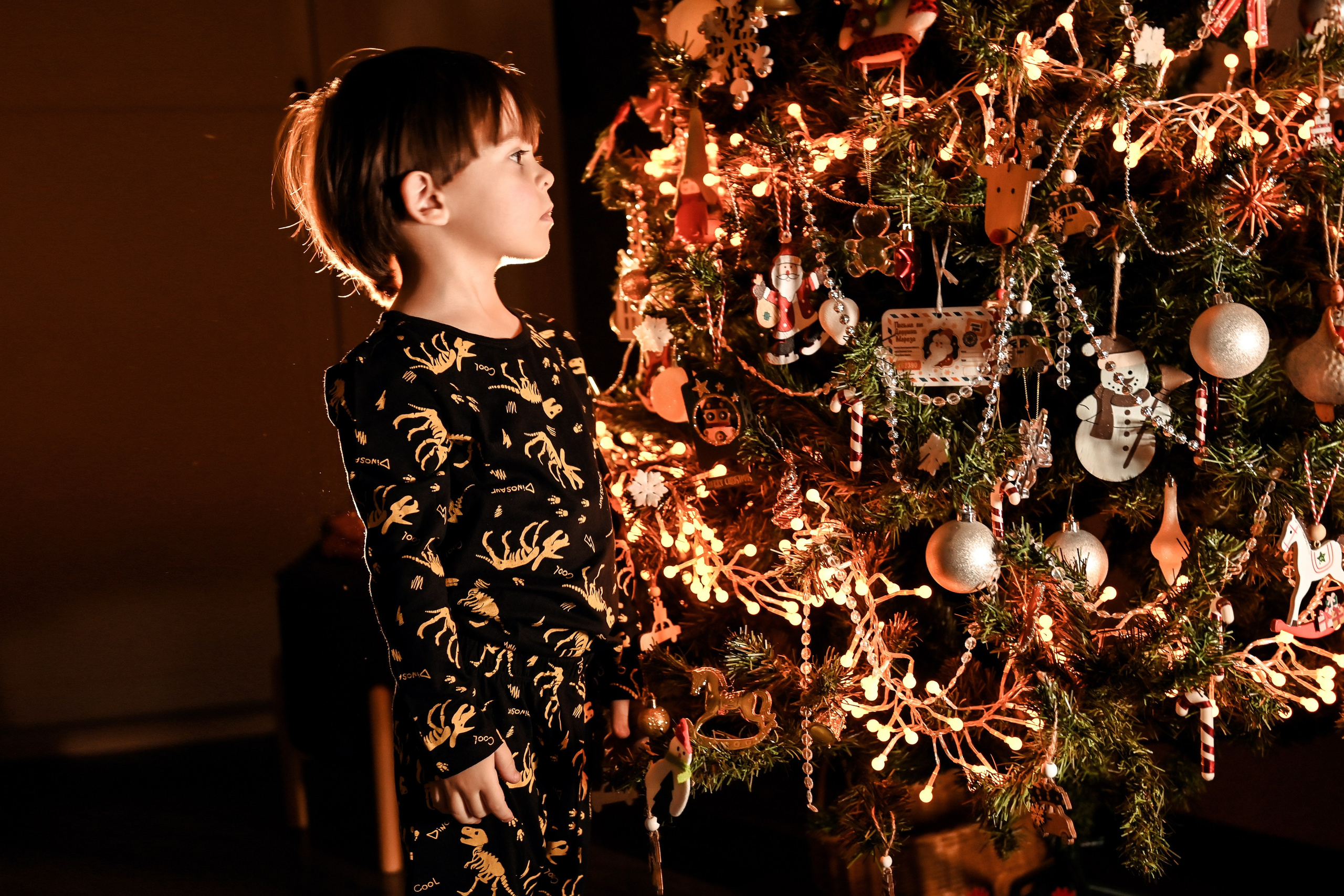 Домашняя предновогодняя