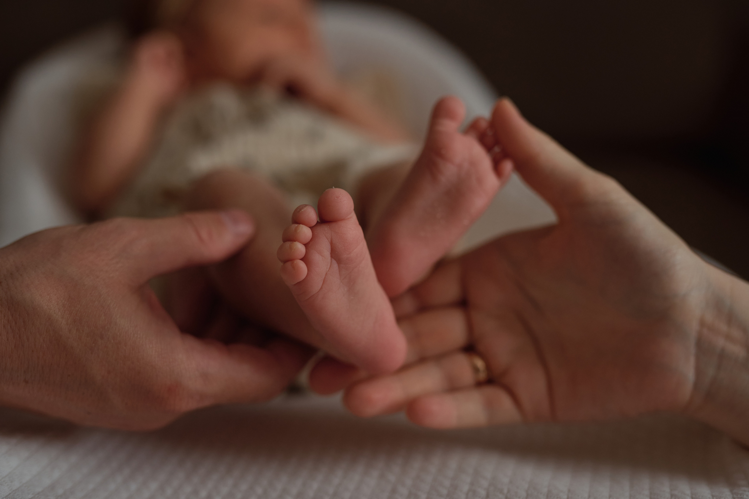 Серии. Семейный фотограф Новороссийск, Анапа, Геленджик Мария Колесниченко