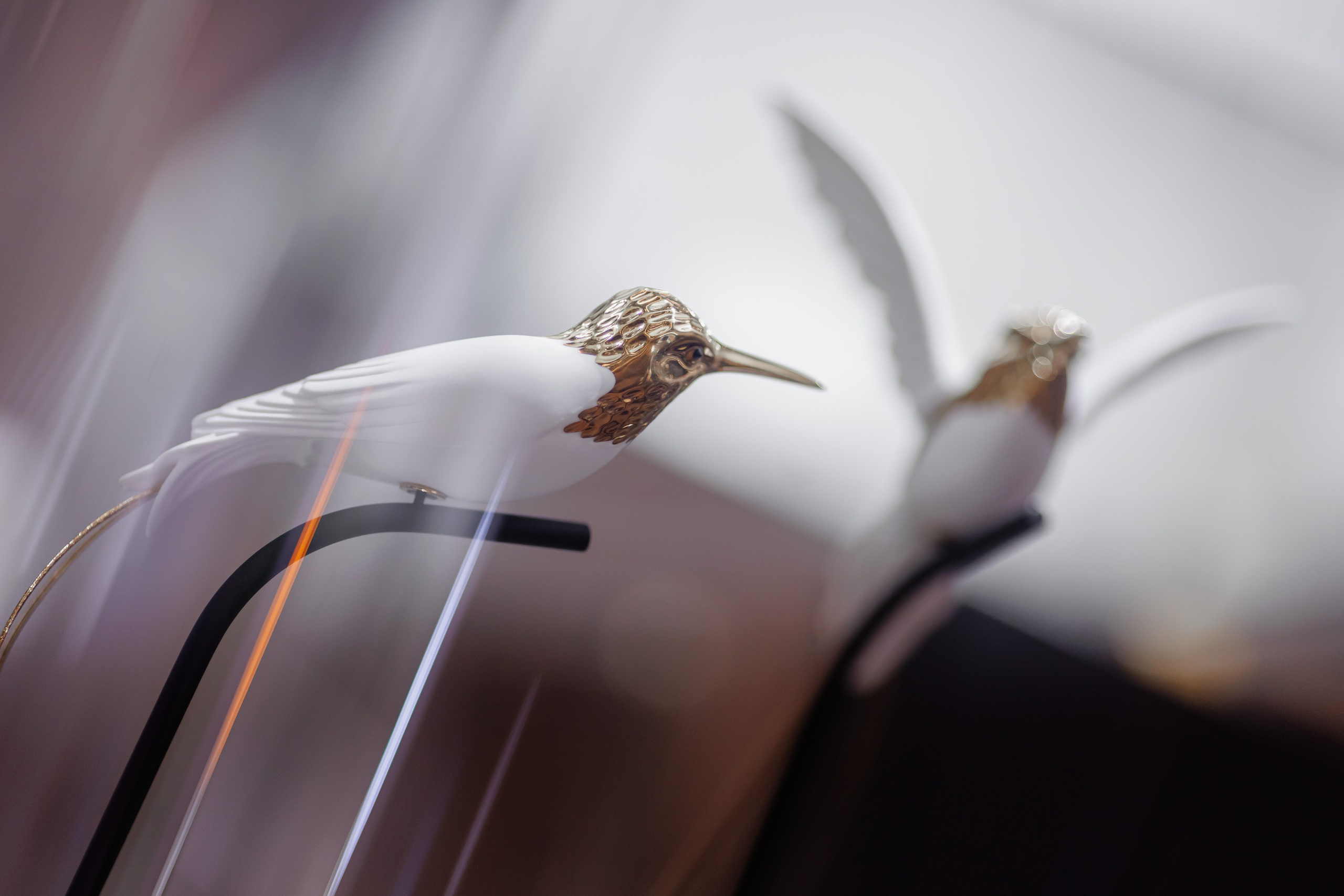 Презентация Changan CS75 Plus. Фотограф на мероприятие в Санкт-Петербурге