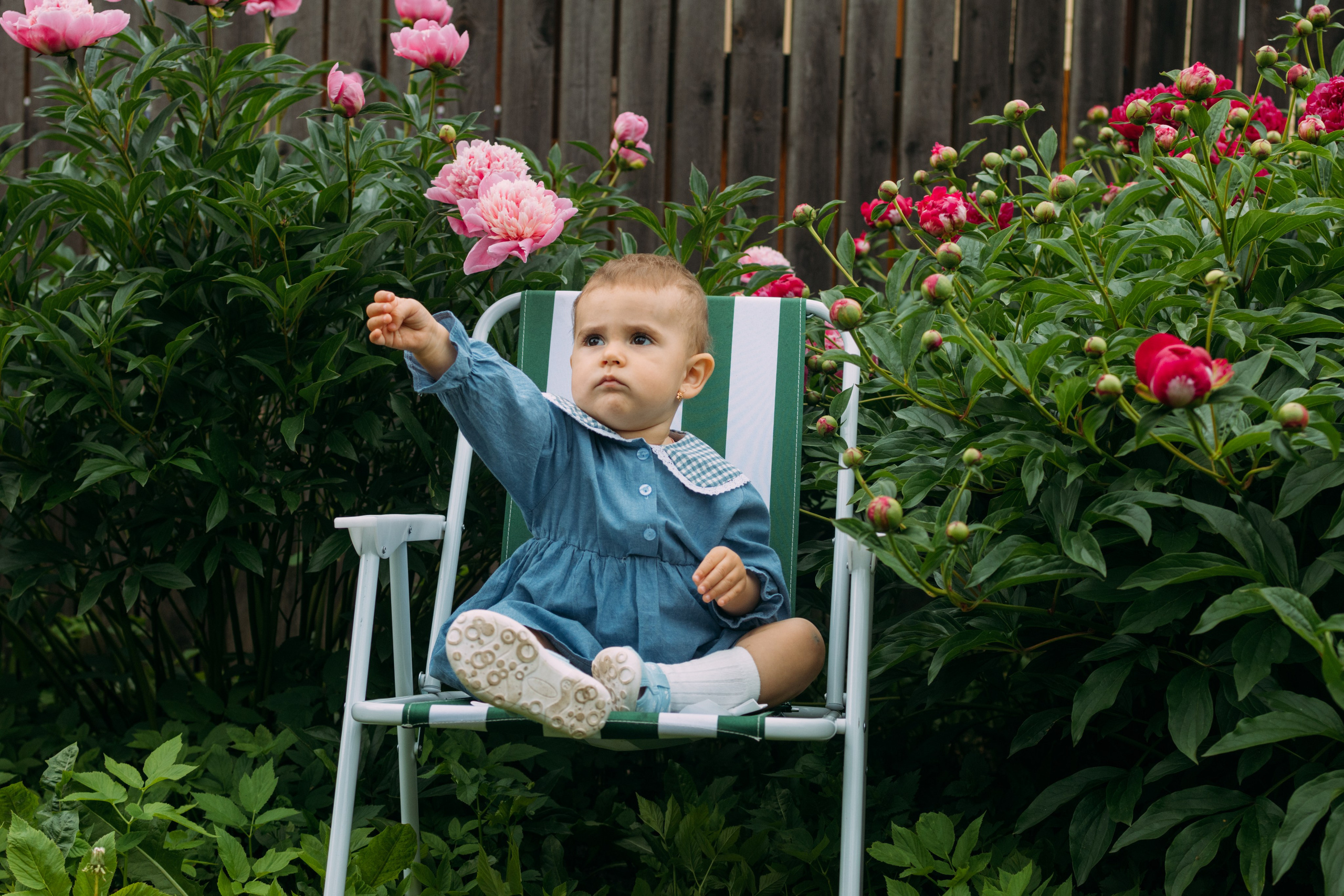 Самый красивый цветочек