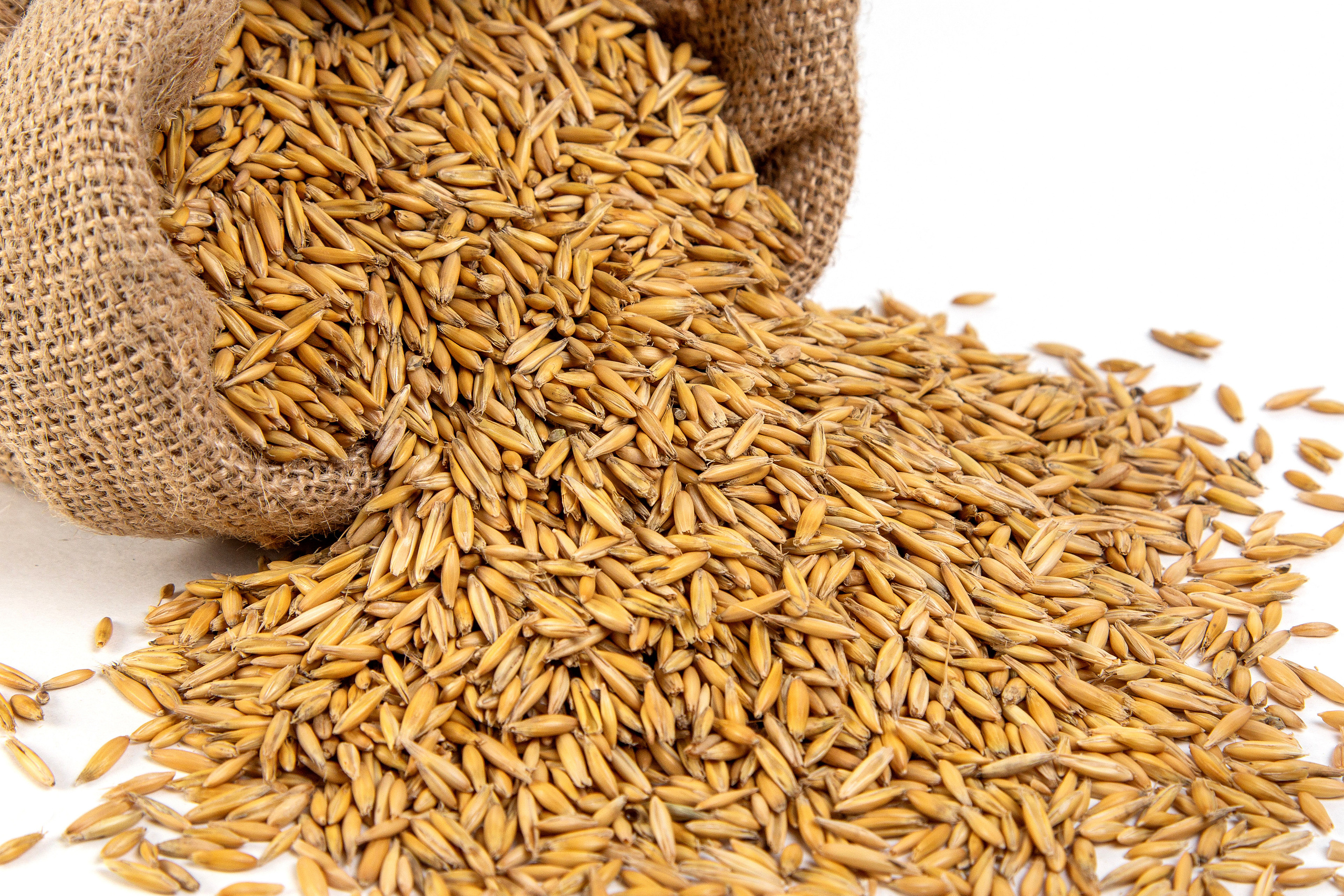 зерновые культуры