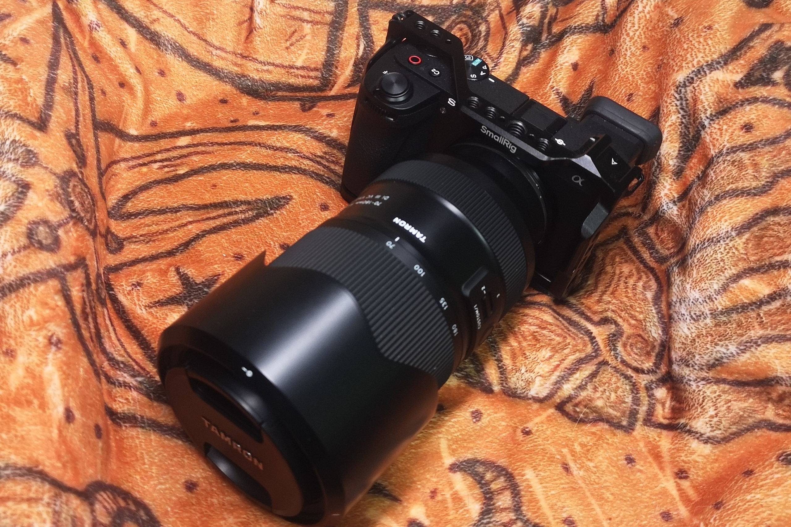 Блог. Фотографирует красивое Денис Горностаев