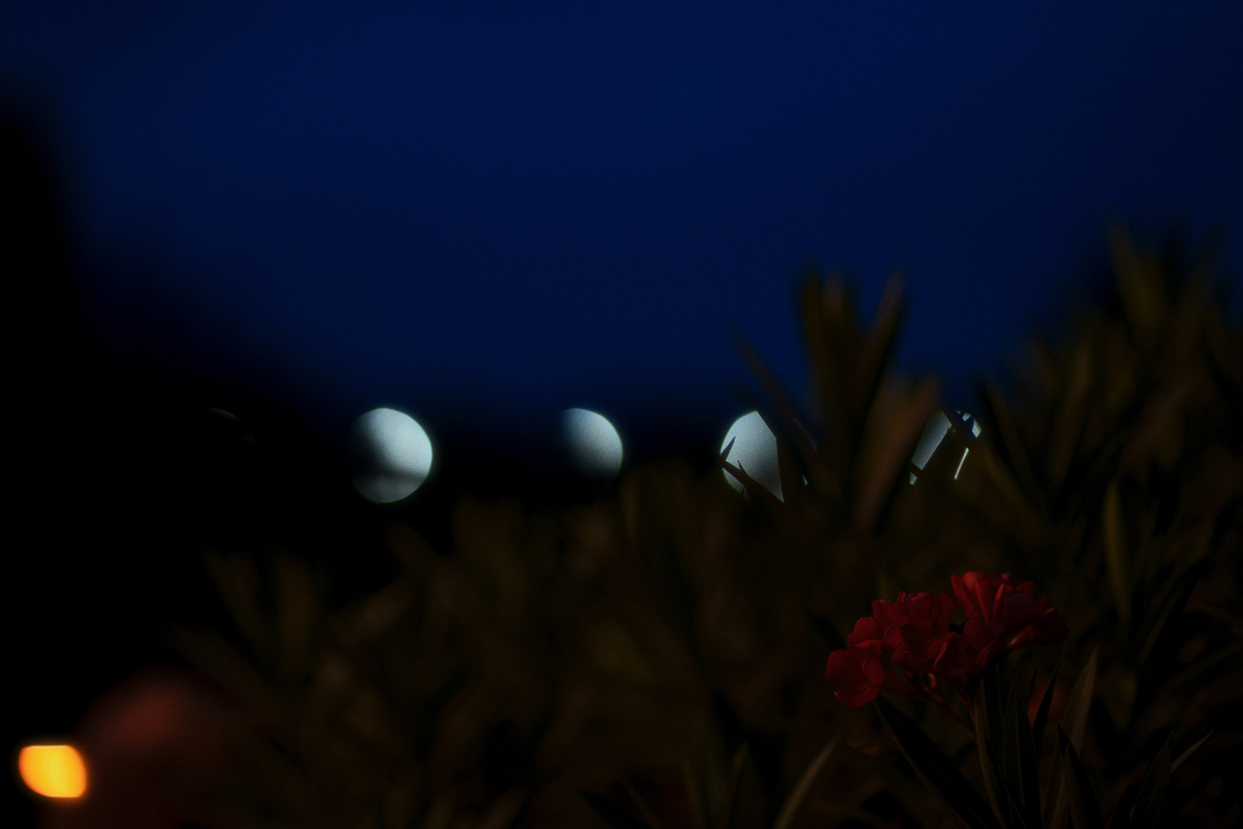 café krasnodar х co-co chalet