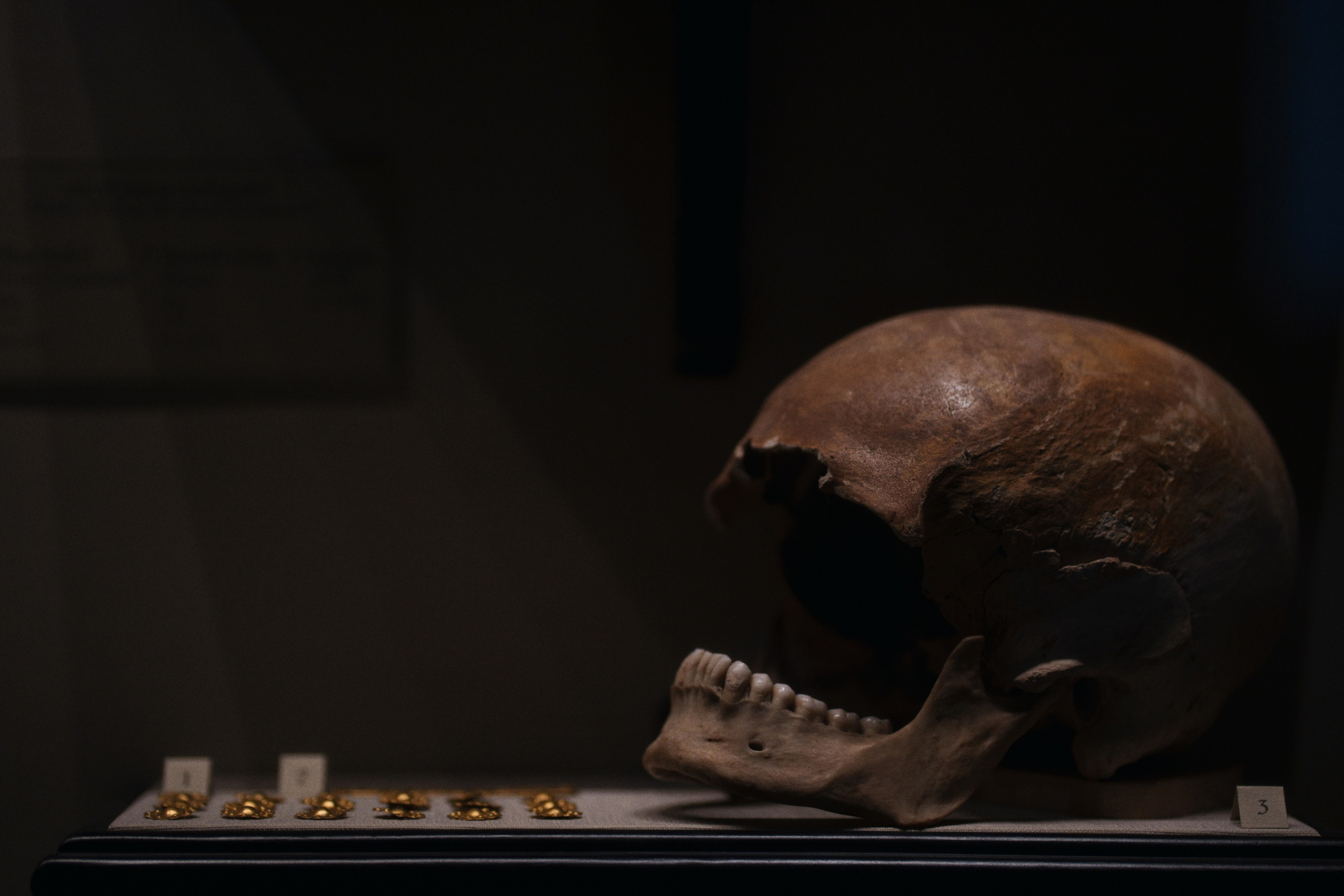 Archaeological Museum / Istanbul, Türkey SS25