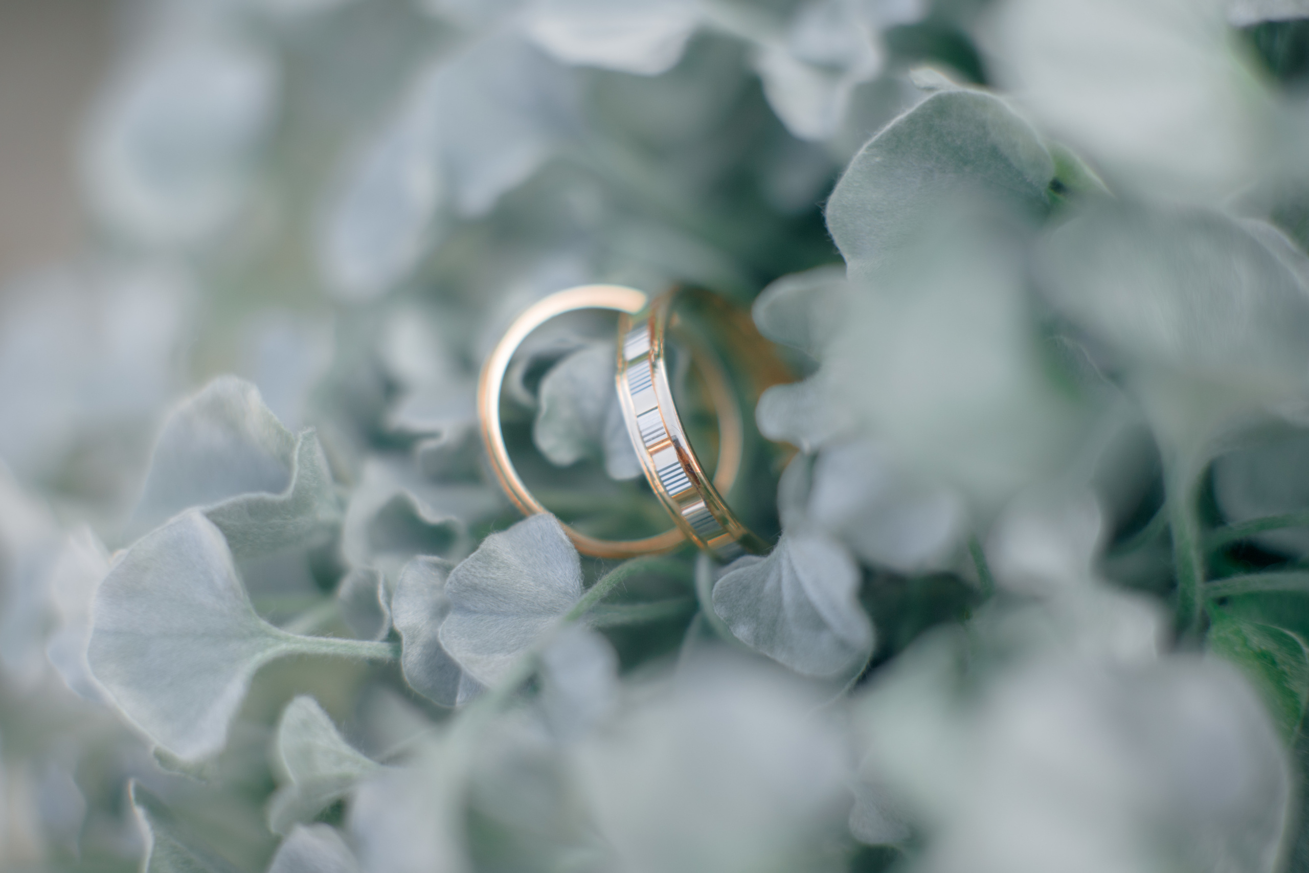 Денис и Настя