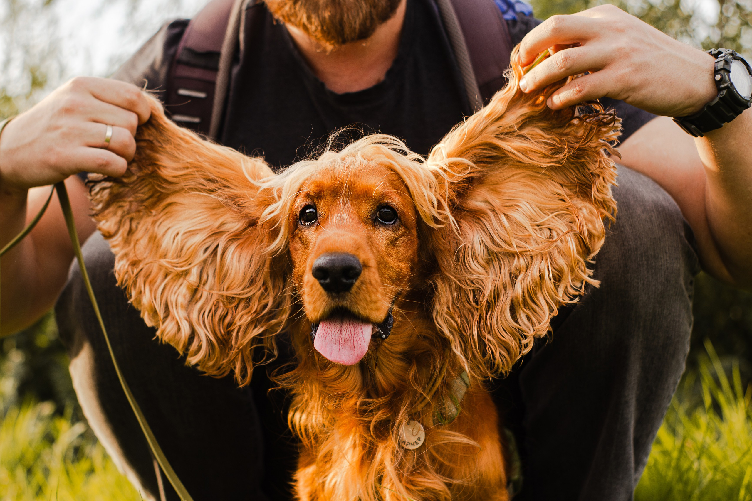 Арина, Паша и Арчер