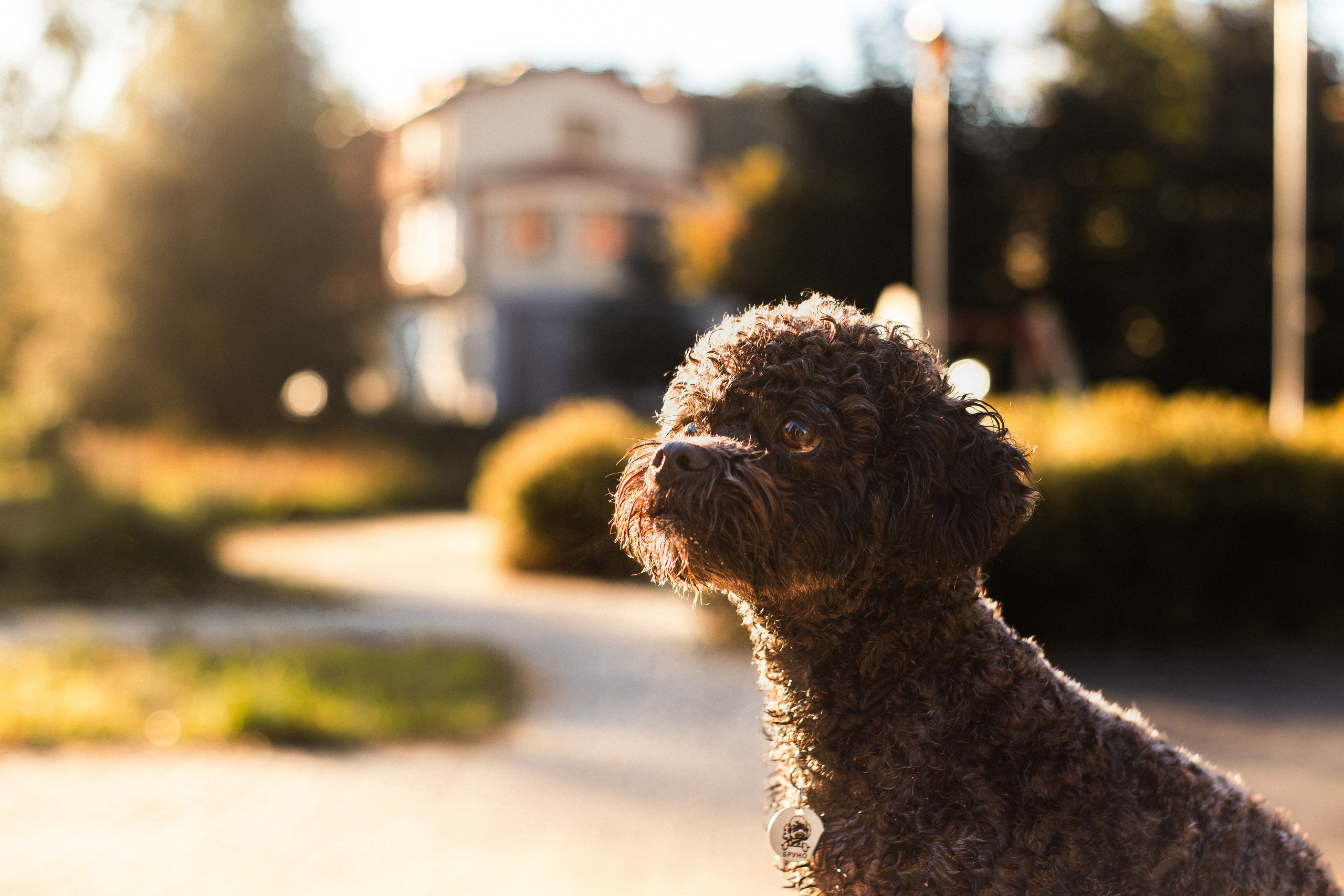 Анна и Бруно