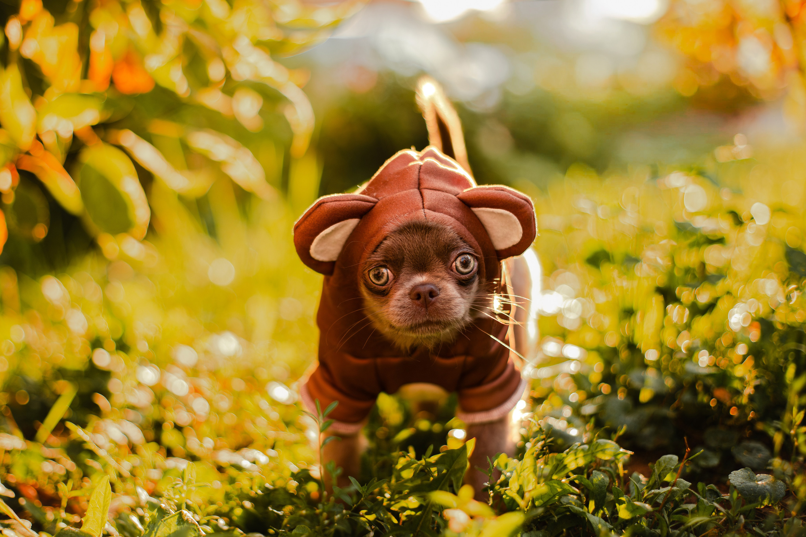 Варя и Фунтик