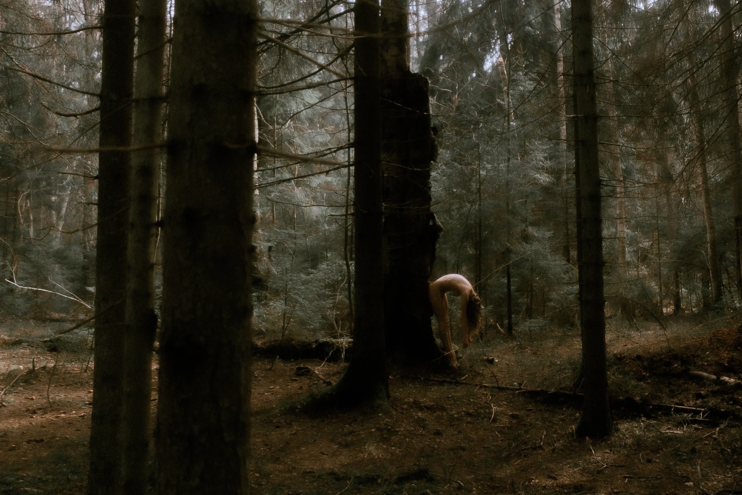 лесная нимфа