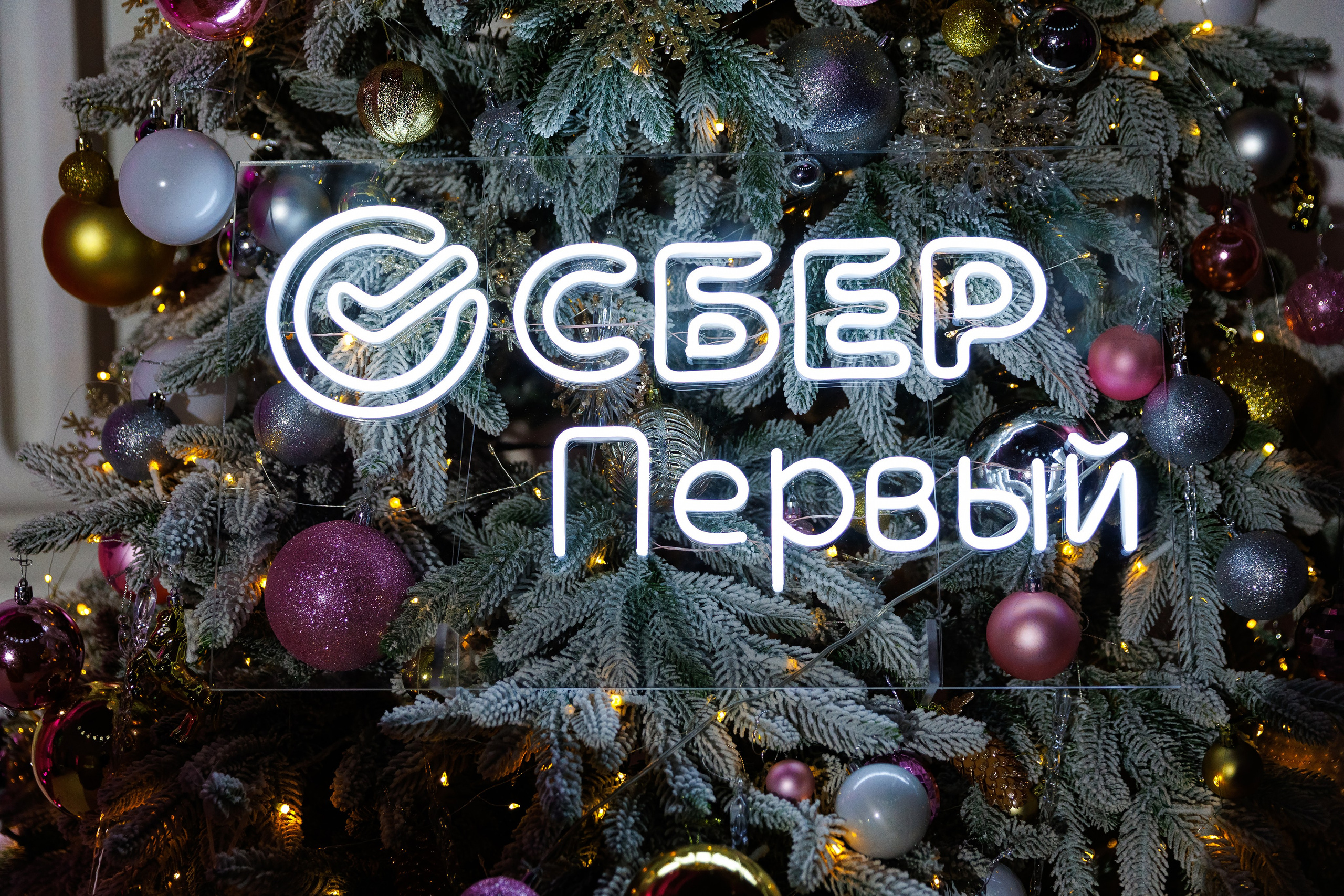 Сбер Первый