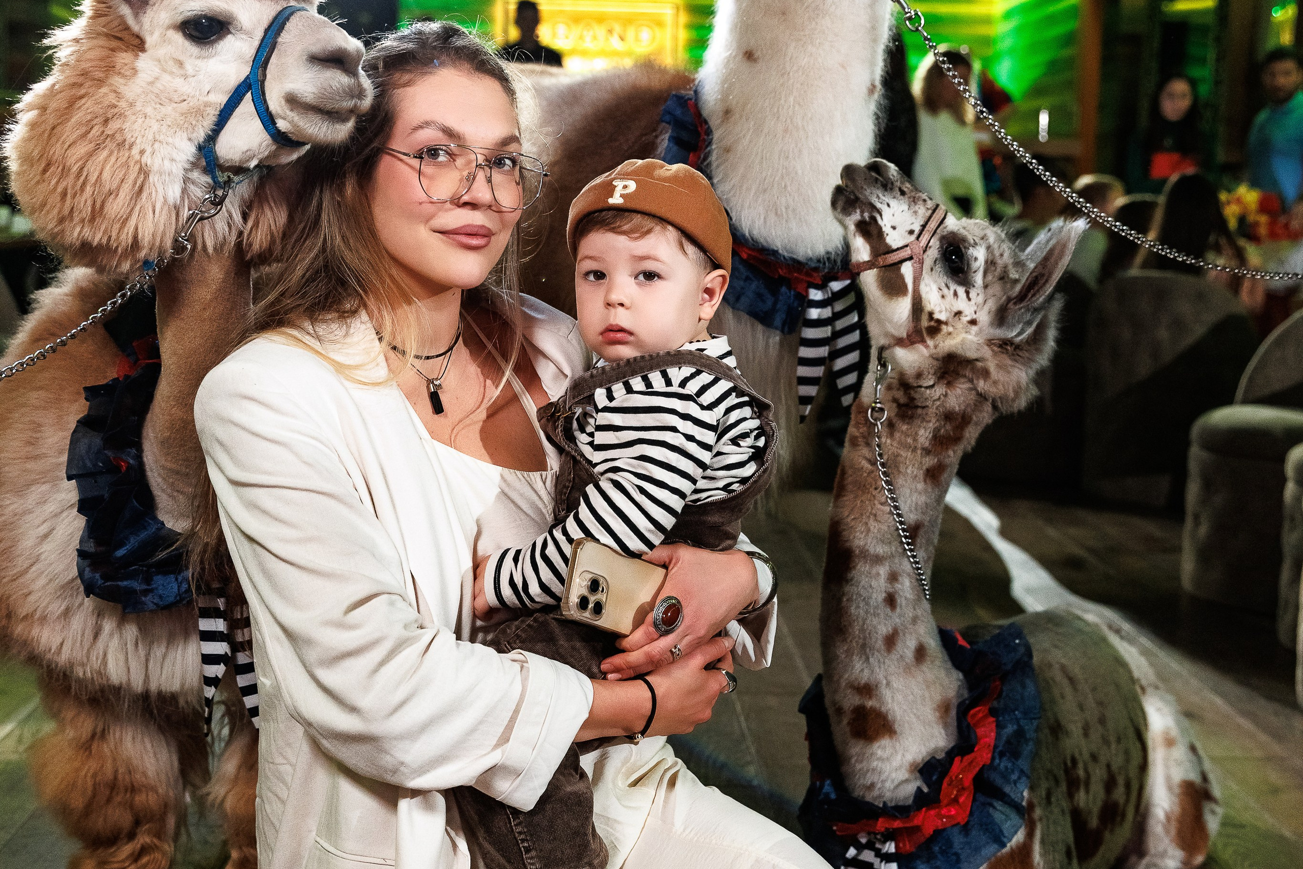 Лама и&nbsp;Альпака