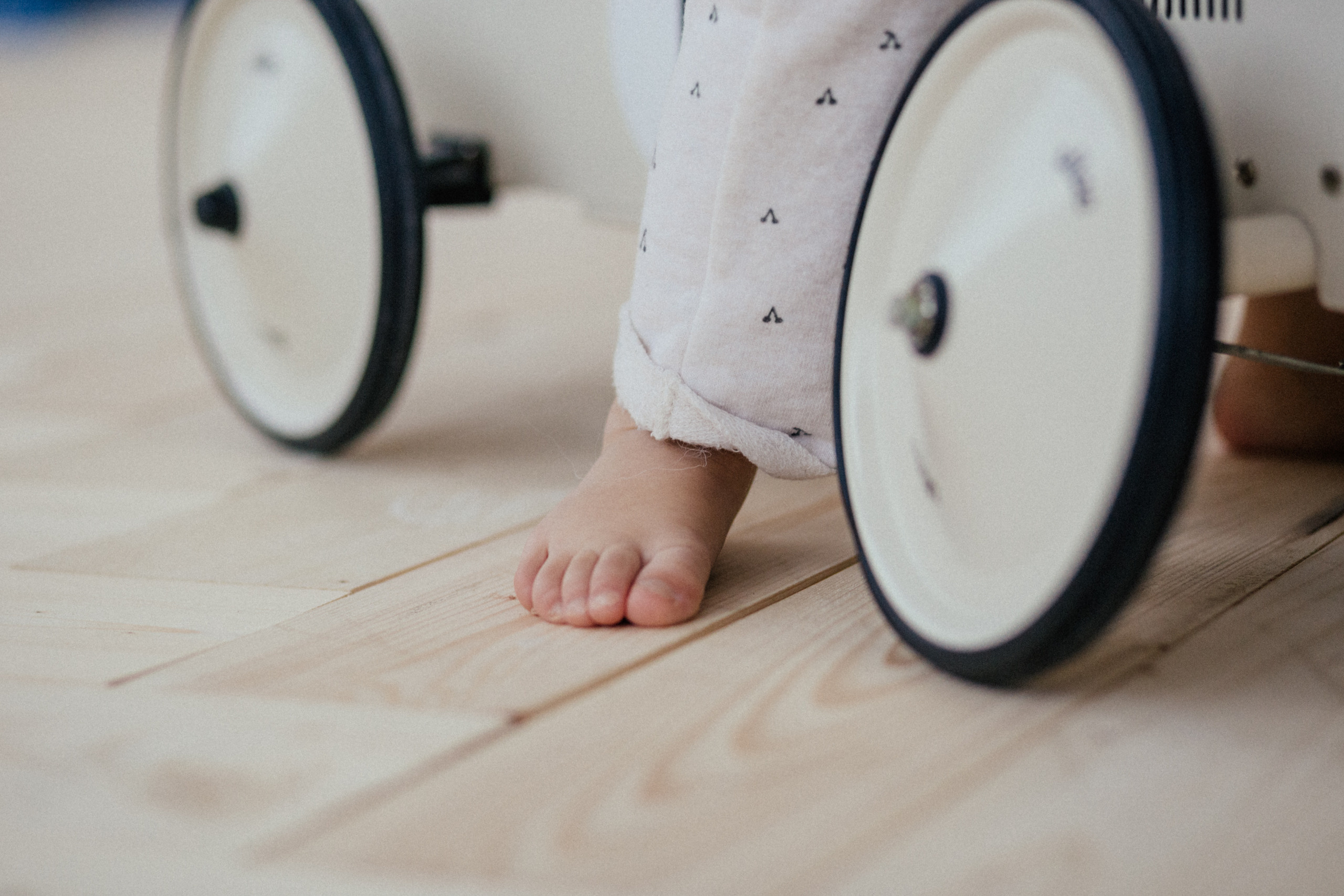 Новогоднее печенье