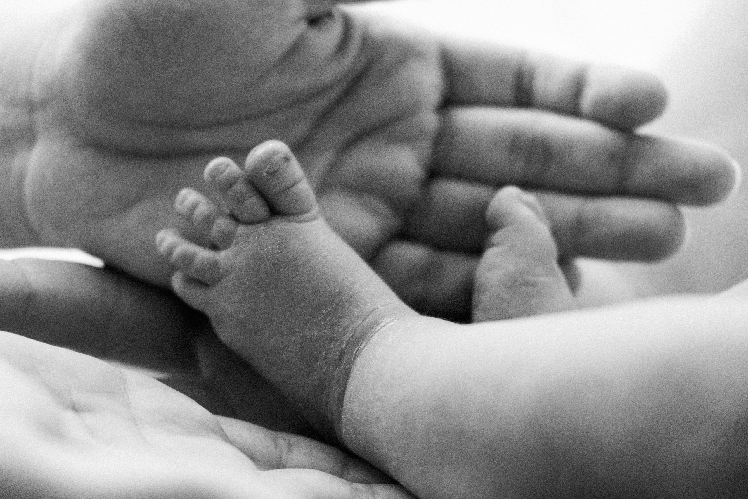 Нас стало больше. Семья Плотниковых