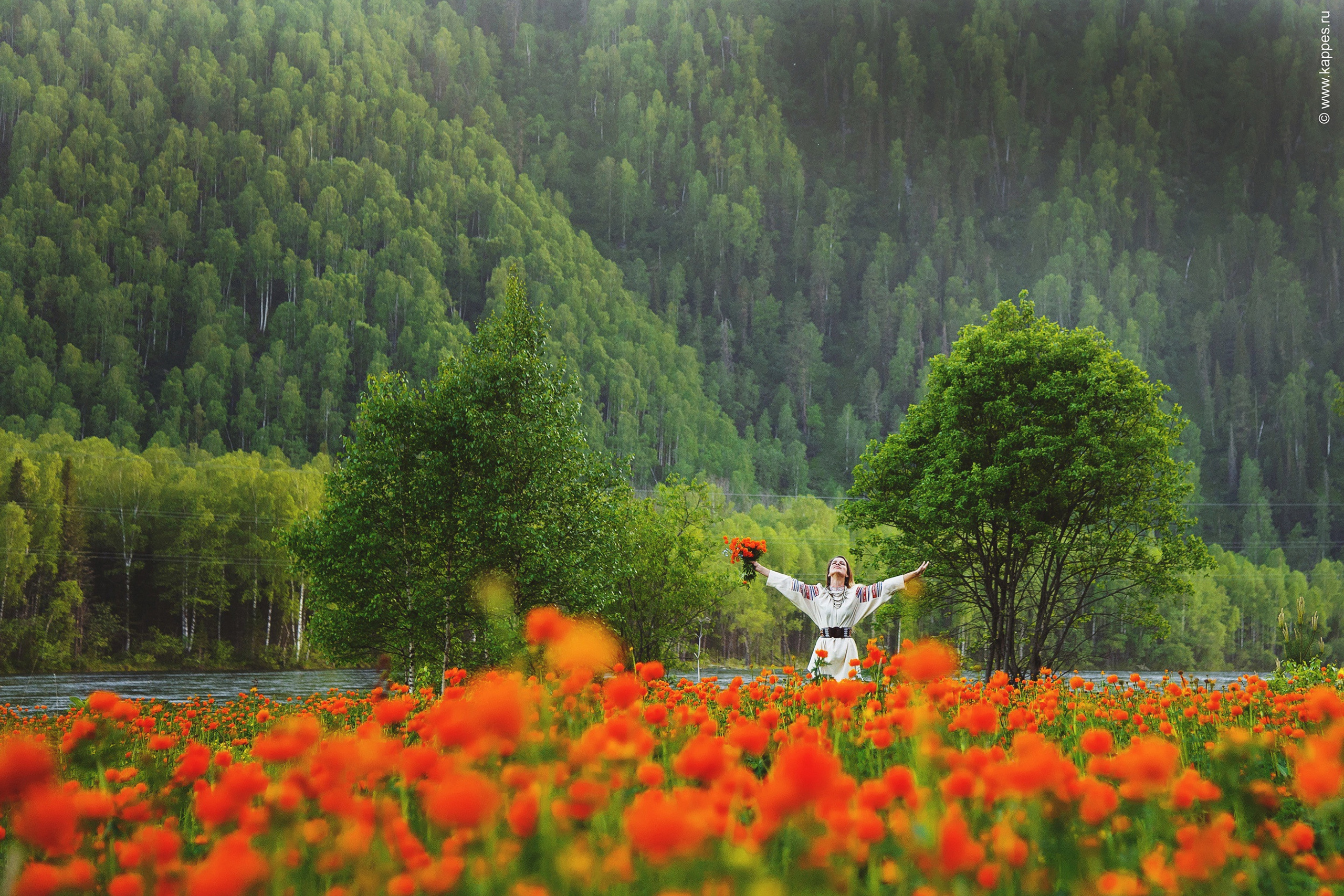 Общее портфолио