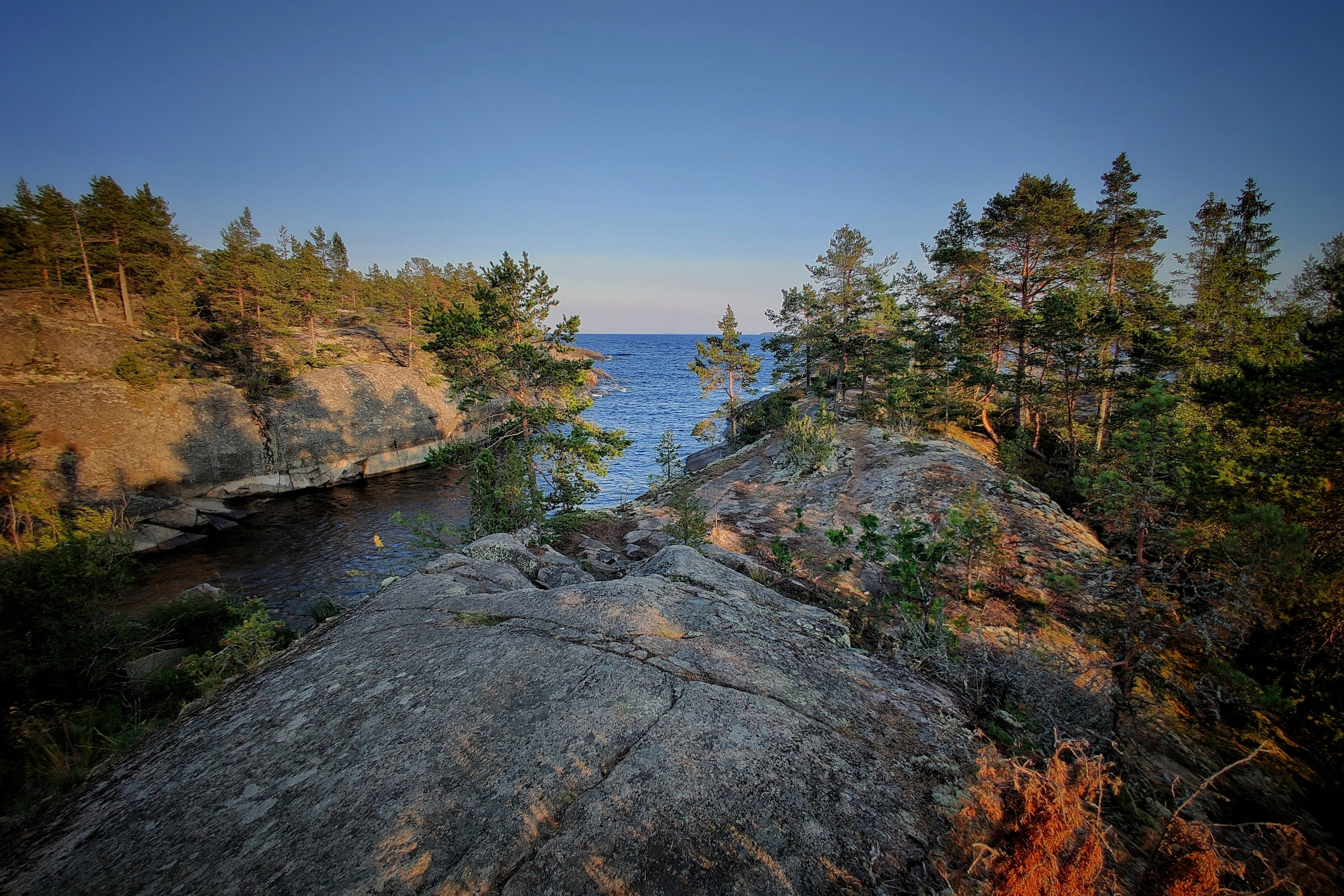 Кафедра Неспешной Суетологии | Блог Ивана Круглова