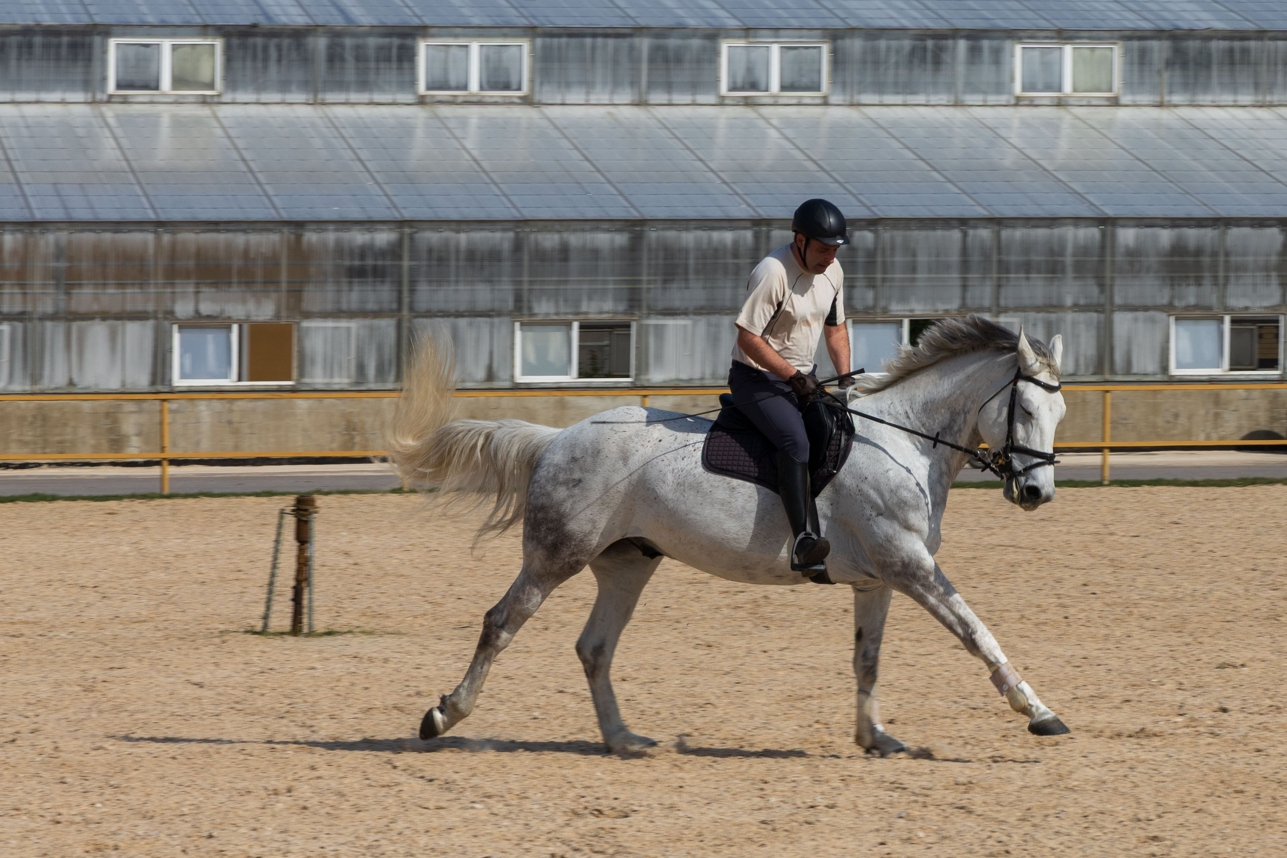 Репортаж.Конная тренировка