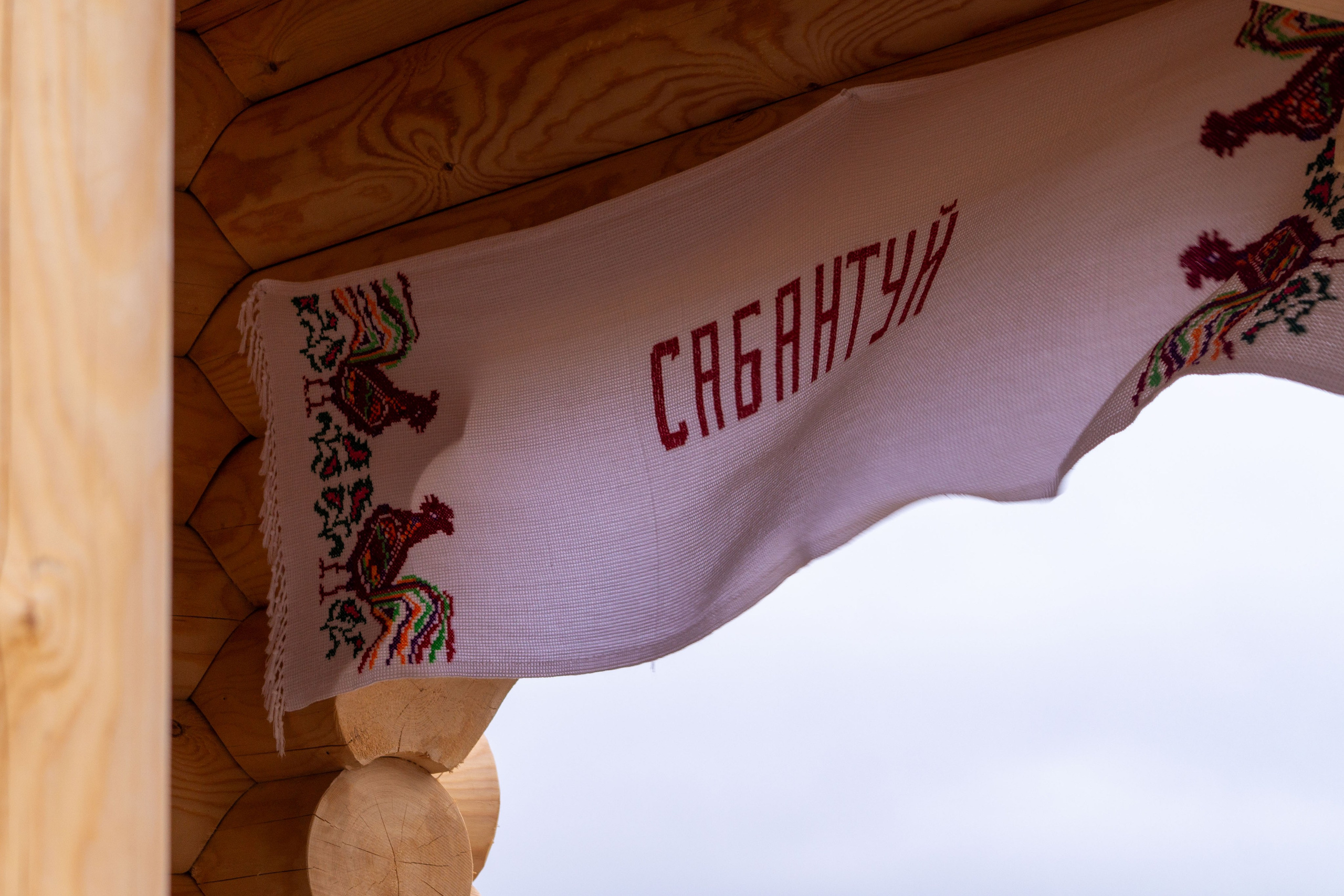 Всероссийский собантуй 2025