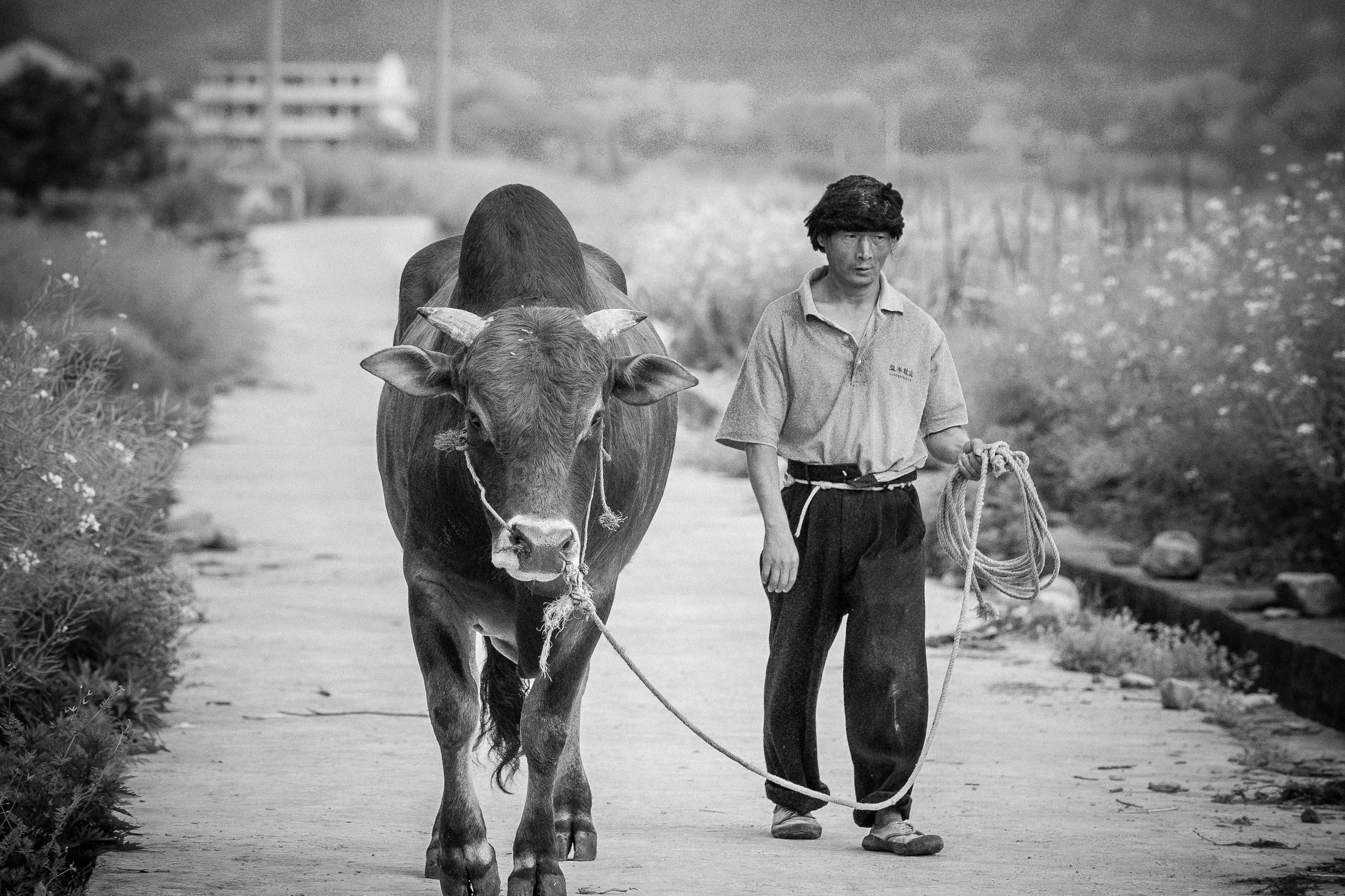 Фотоблог. Авторские стильные фотокартины