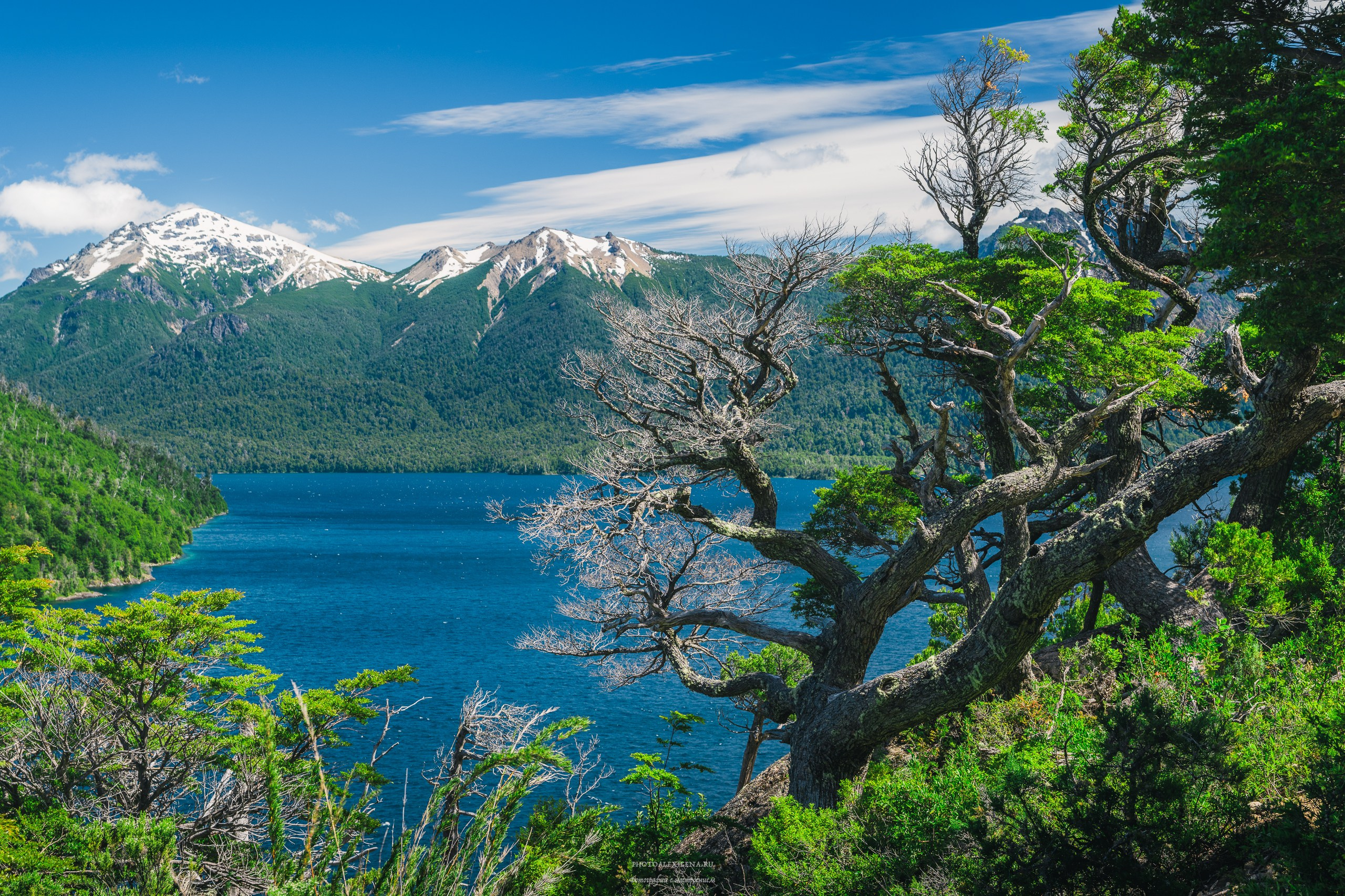 Снова в пустыню, за скелетами…. Авторские стильные фотокартины
