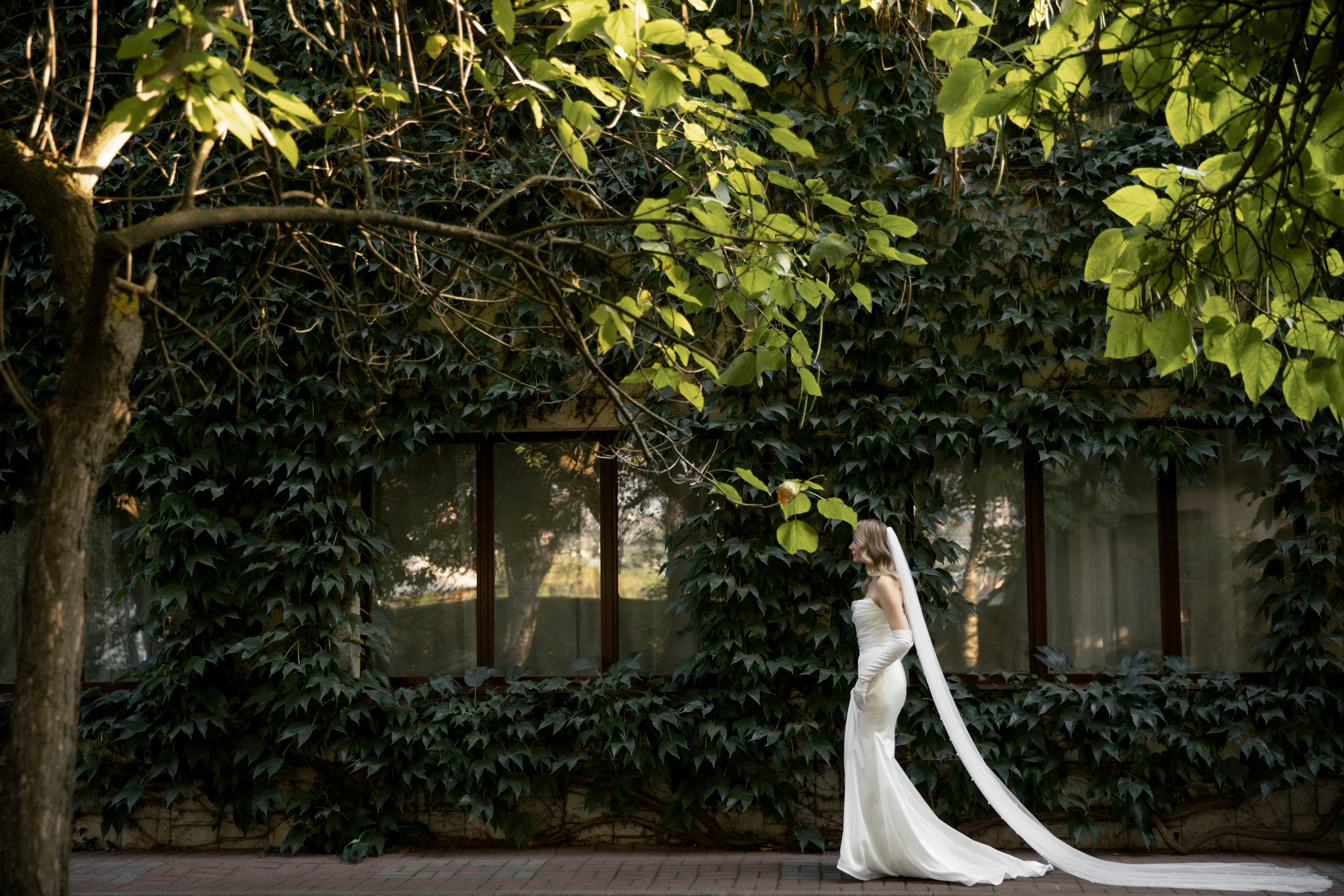 Элегантность