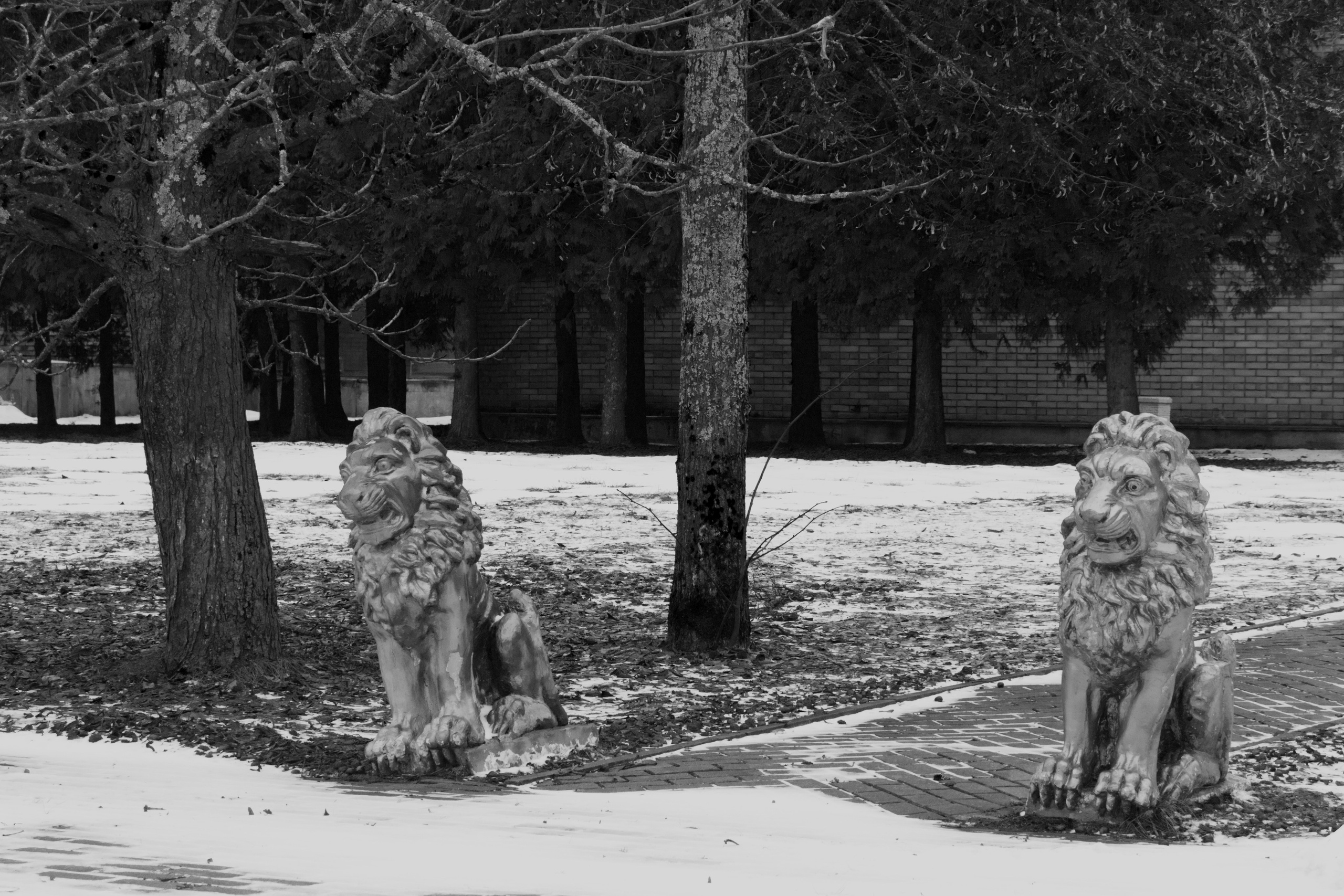 Новости — Документальный фотограф Настя Сергеева