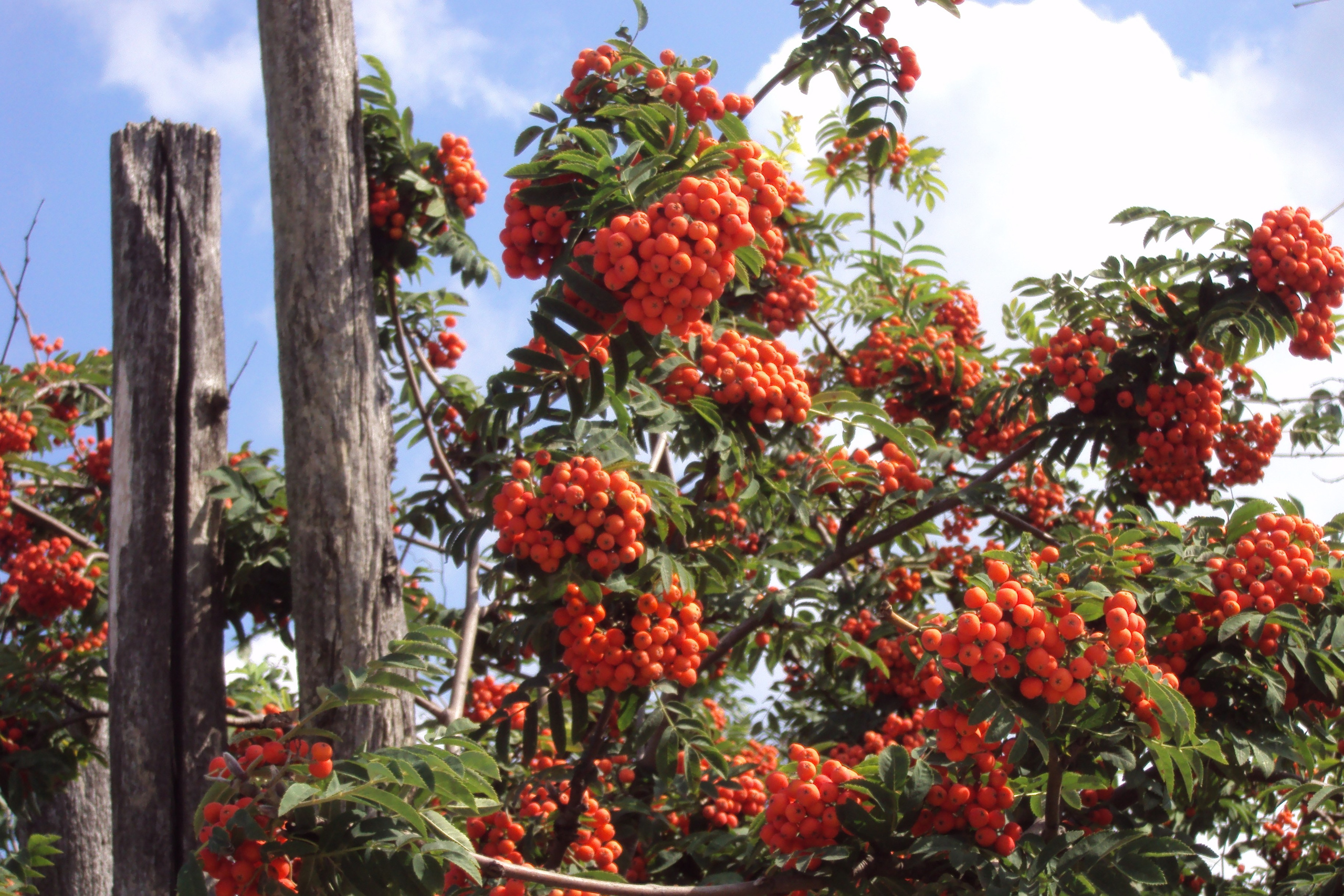 Новости — Документальный фотограф Настя Сергеева