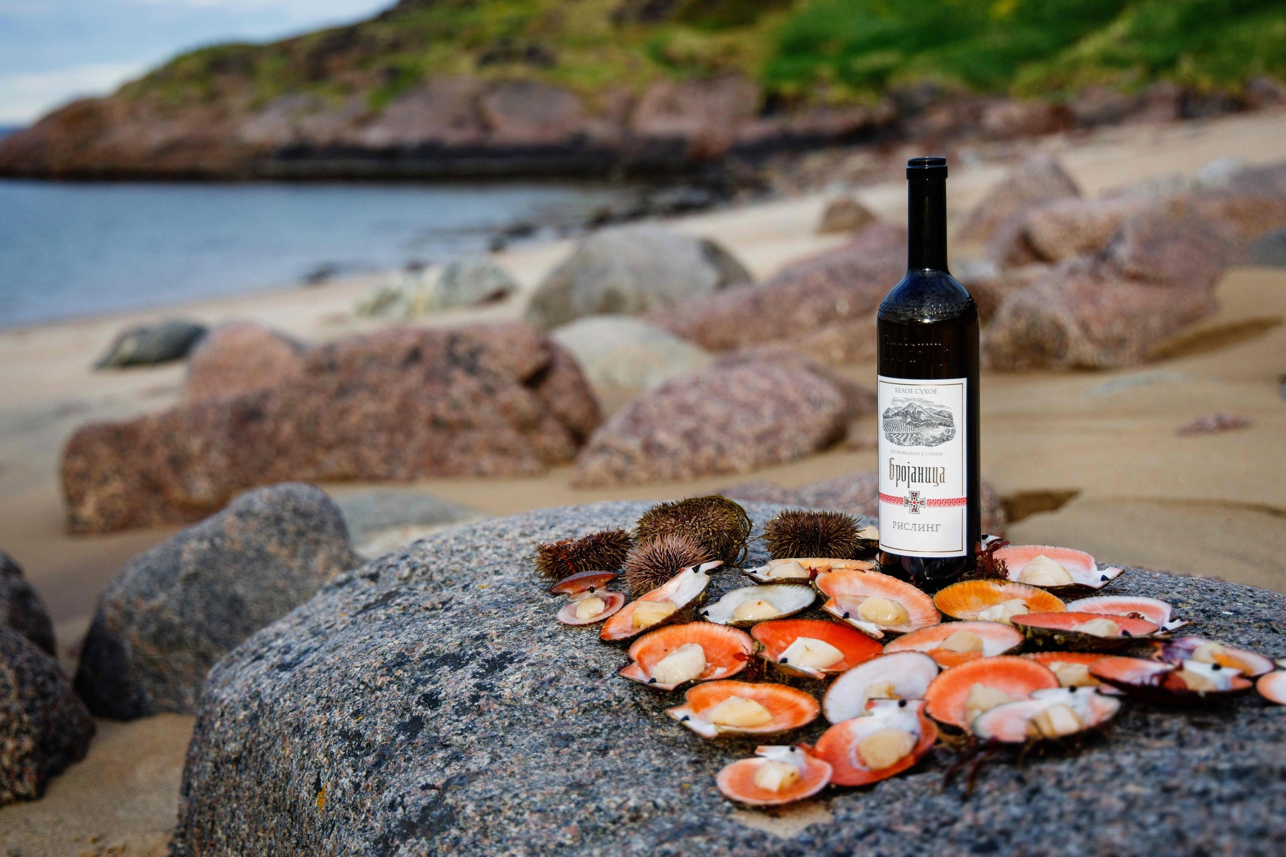 Топ мест в Москве с цветущей сиренью. Sysoevaoksana