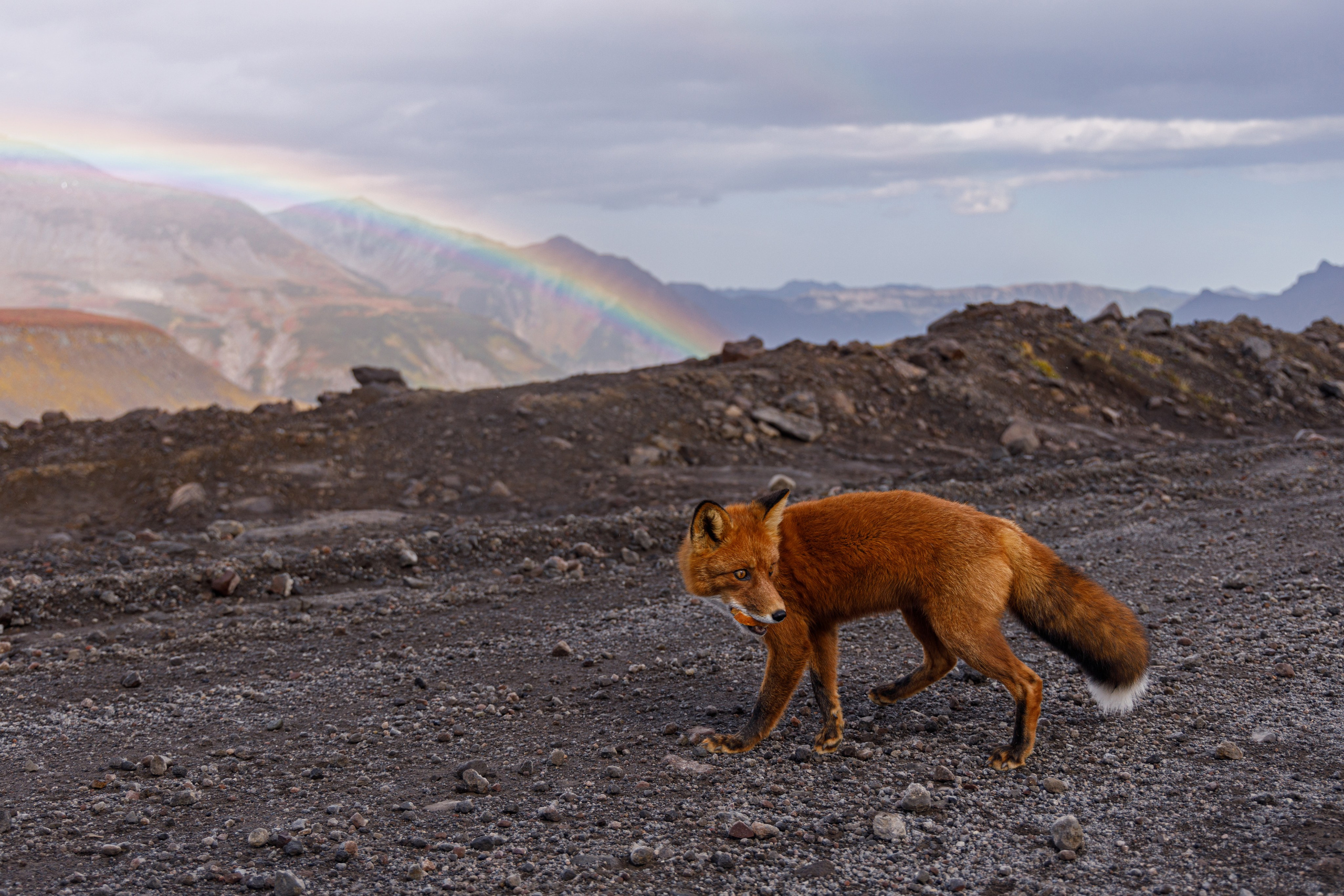 Малые дачные источники, Камчатка