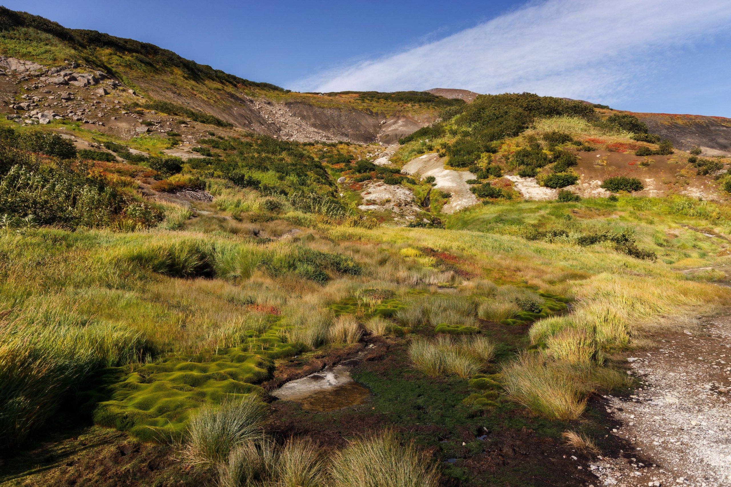 Малые дачные источники, Камчатка