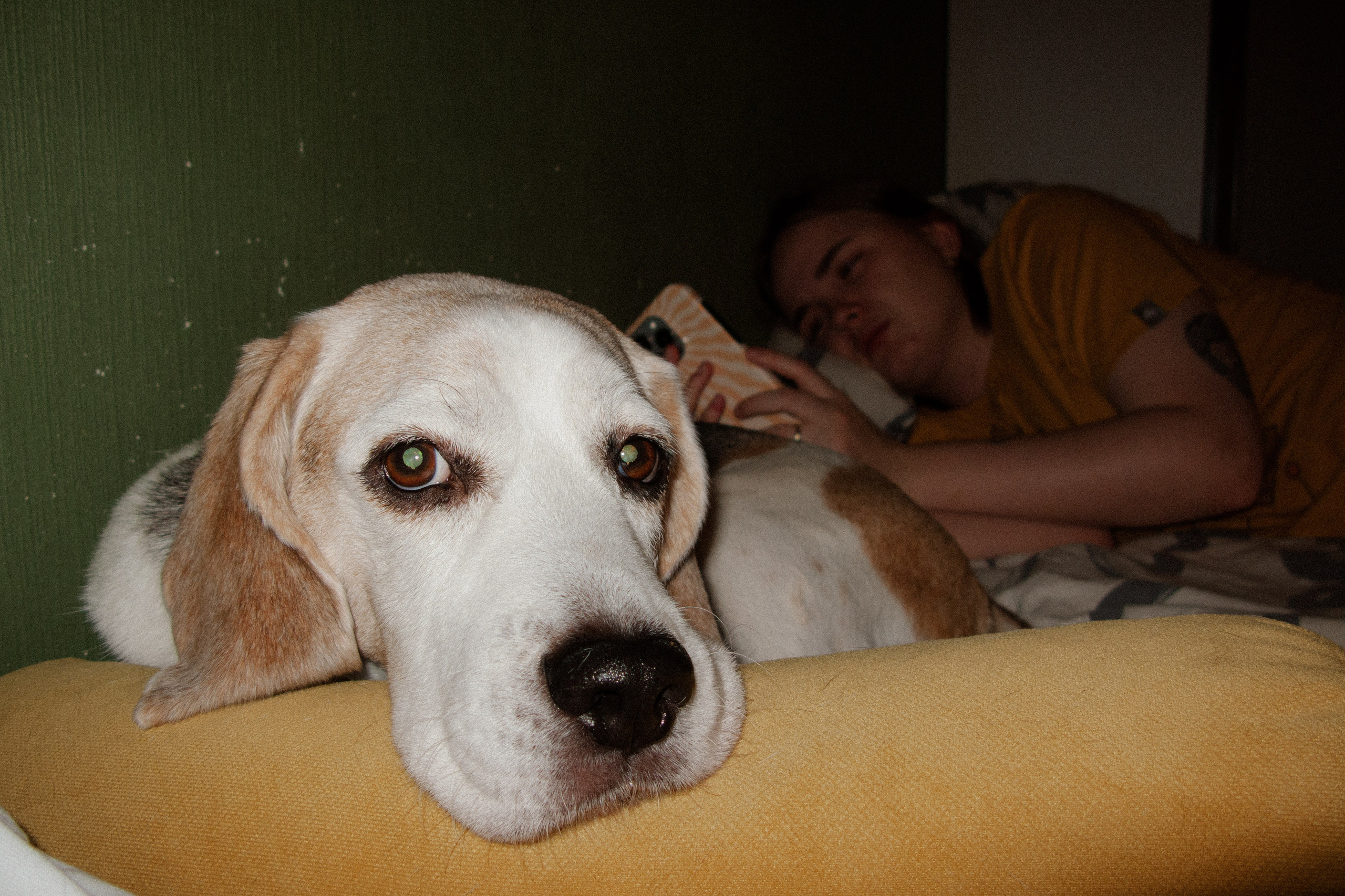 Jan. Фотограф Миланазавр