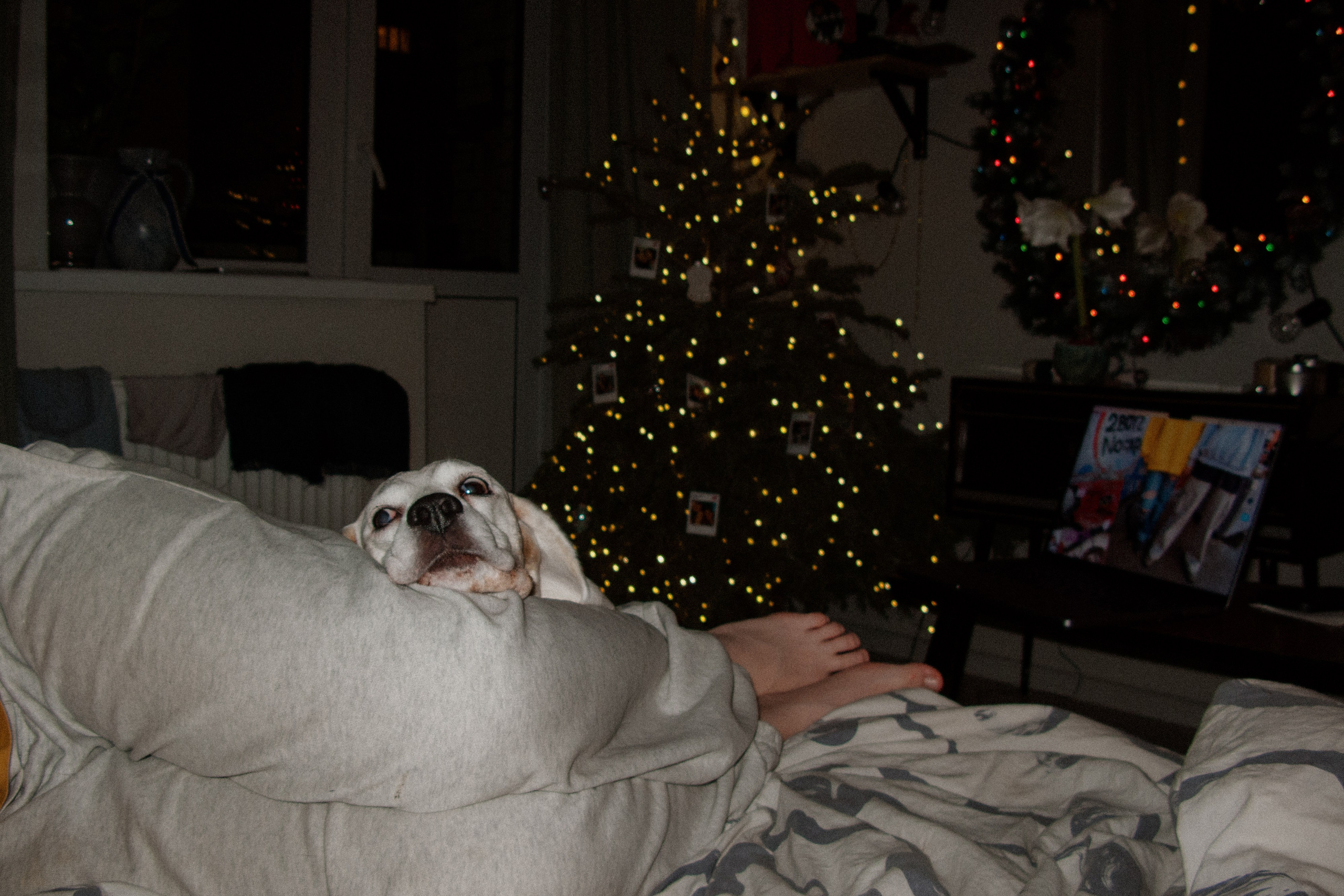 Jan. Фотограф Миланазавр