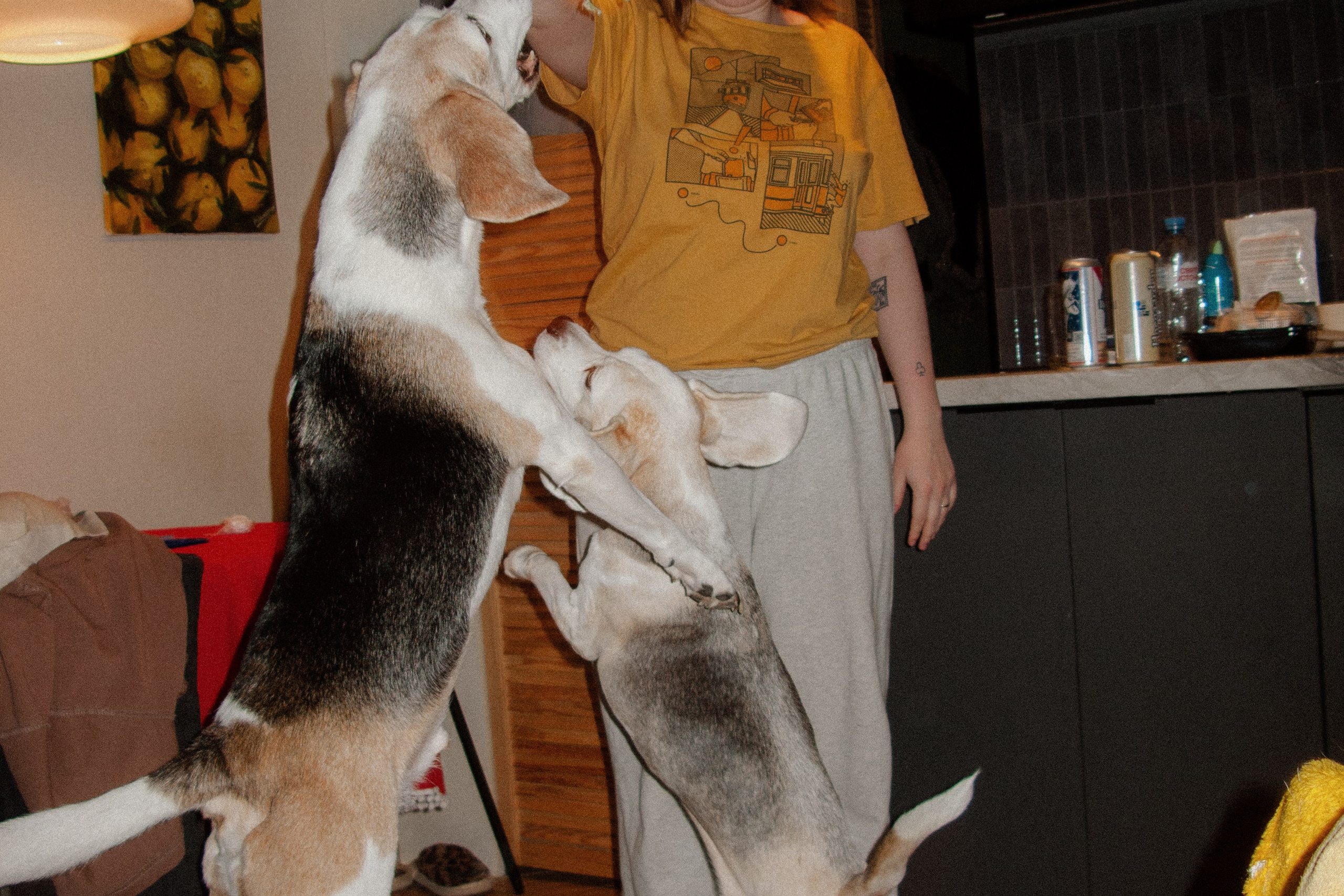 Jan. Фотограф Миланазавр