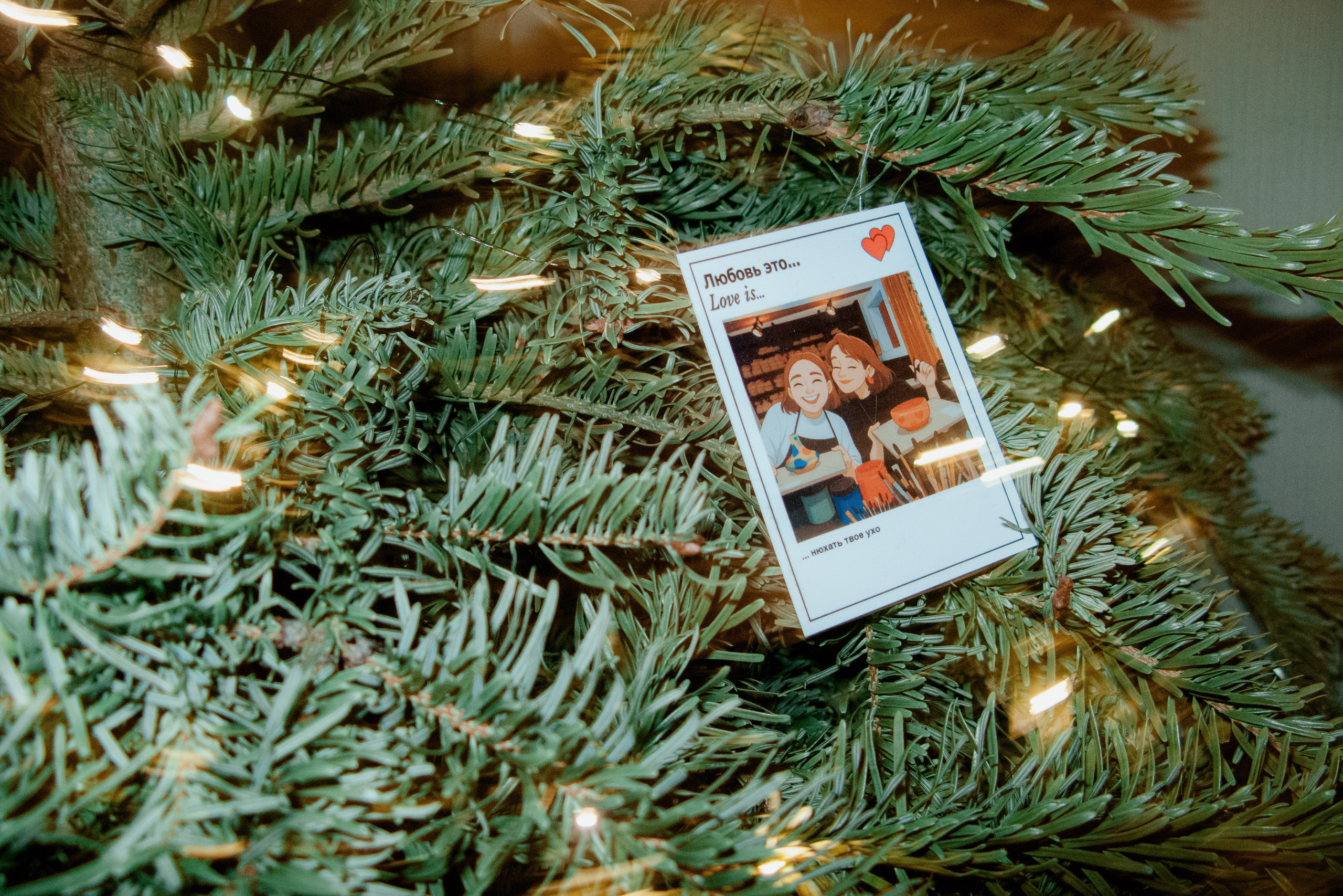 Jan. Фотограф Миланазавр