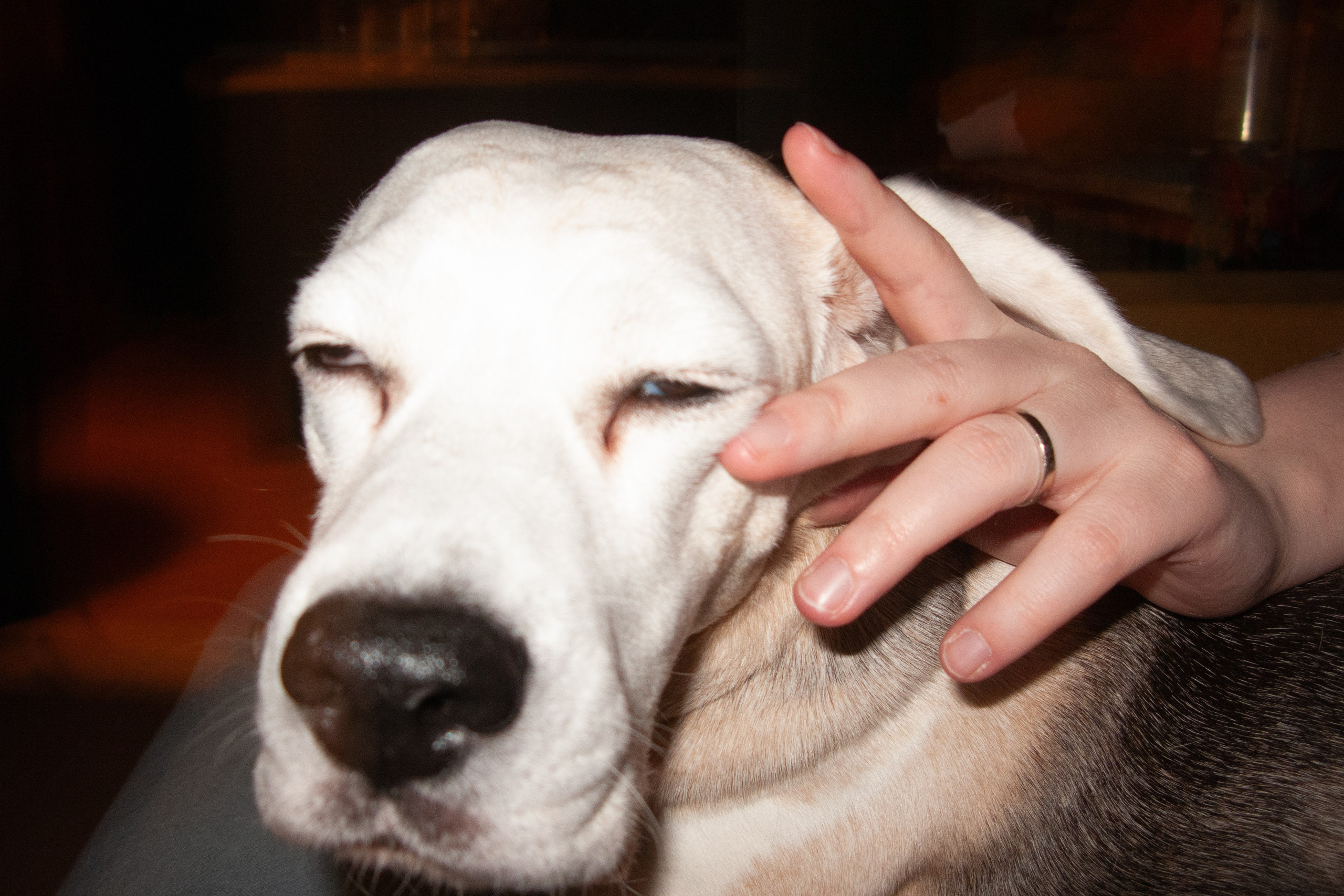 Jan. Фотограф Миланазавр