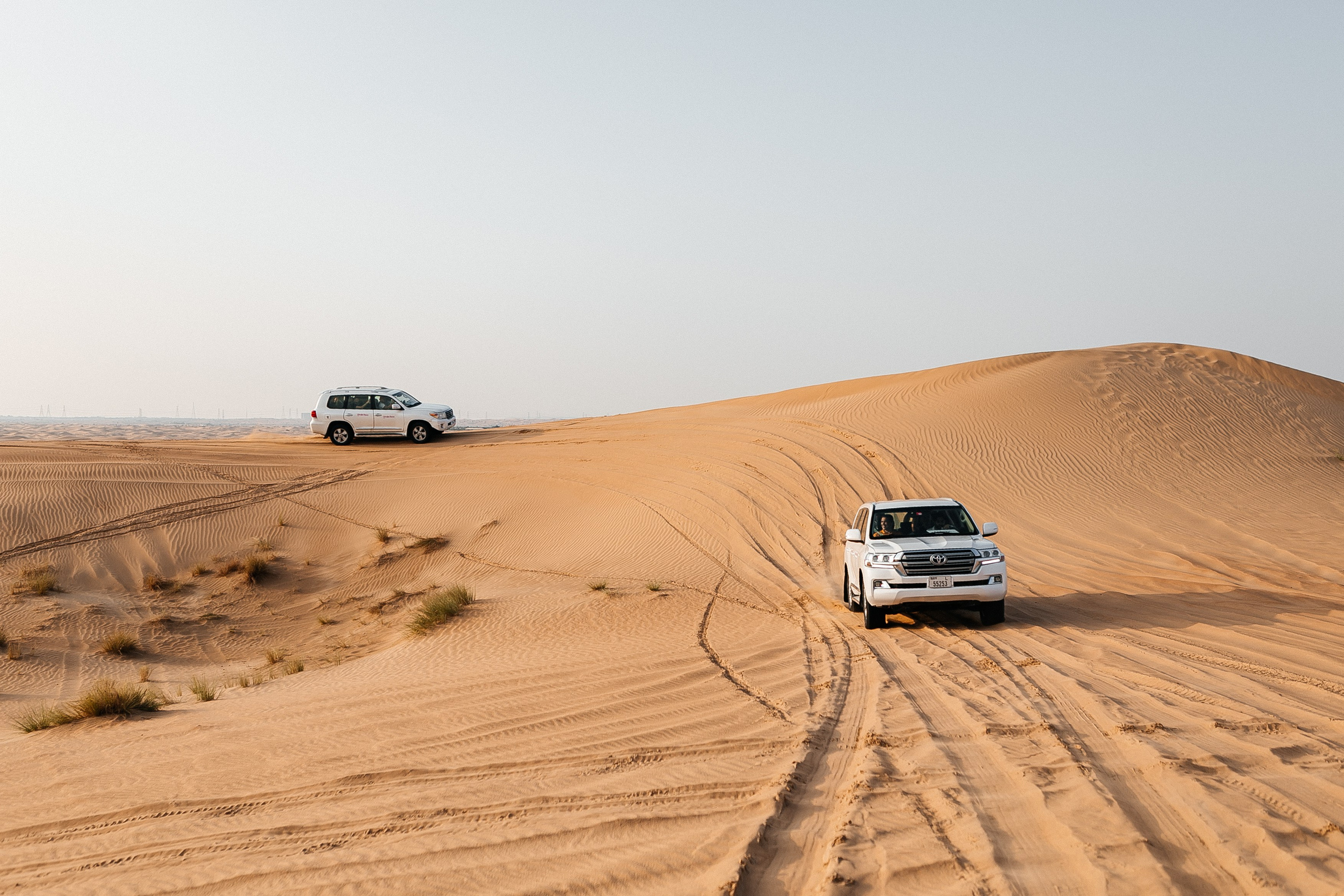 DUBAI Альфа Банк + Сквош