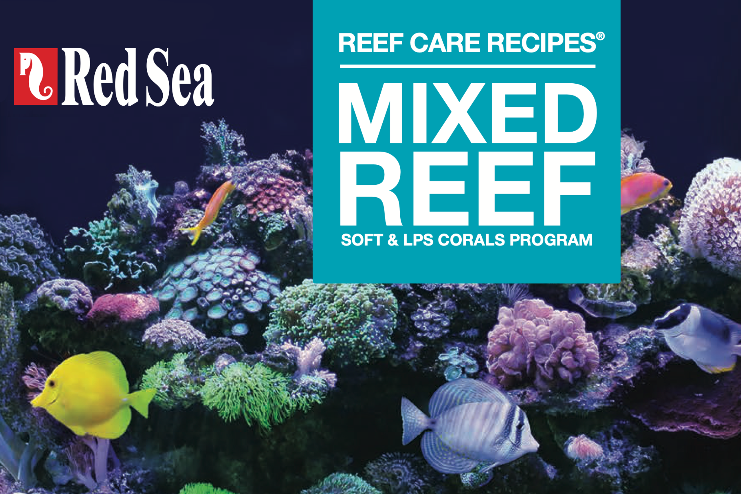 Инструкция. Red Sea Reef Foundation A — Кальций. Аквариумист Максим Ерёмин. Aqua Maxim