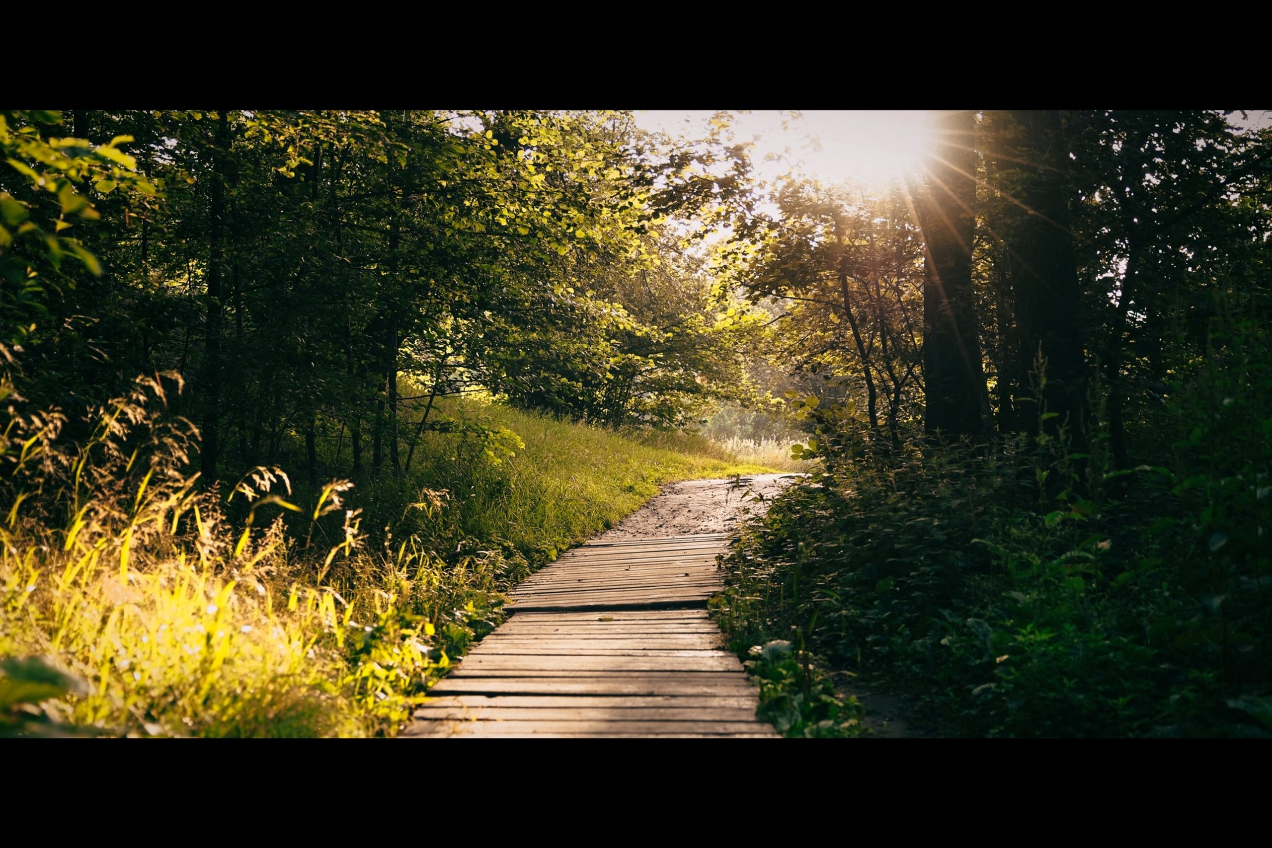 Личное творчество. Свадебный Фотограф и Видеограф — Всеволод Бобров