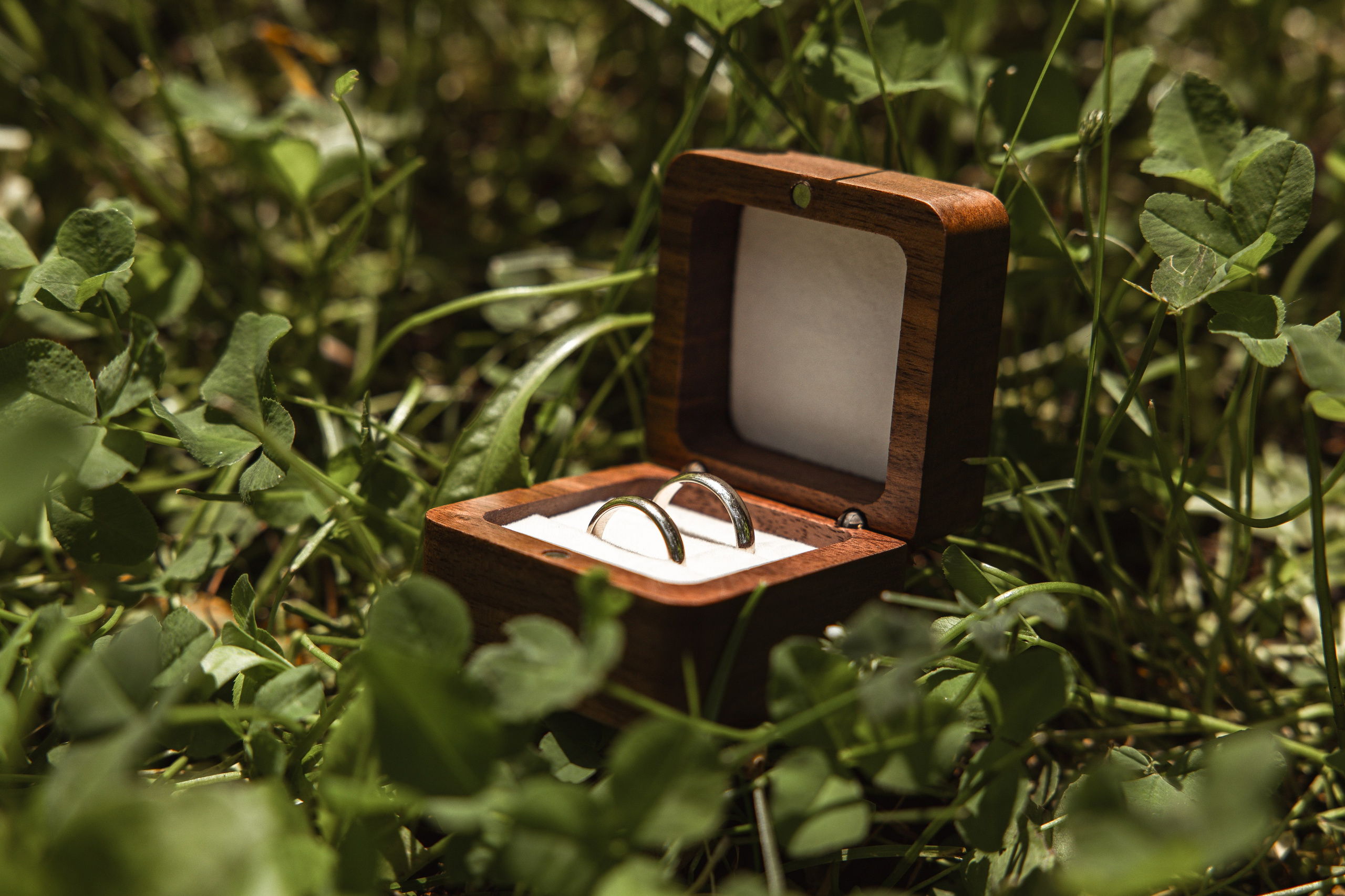 A & N. Свадебный Фотограф и Видеограф — Всеволод Бобров