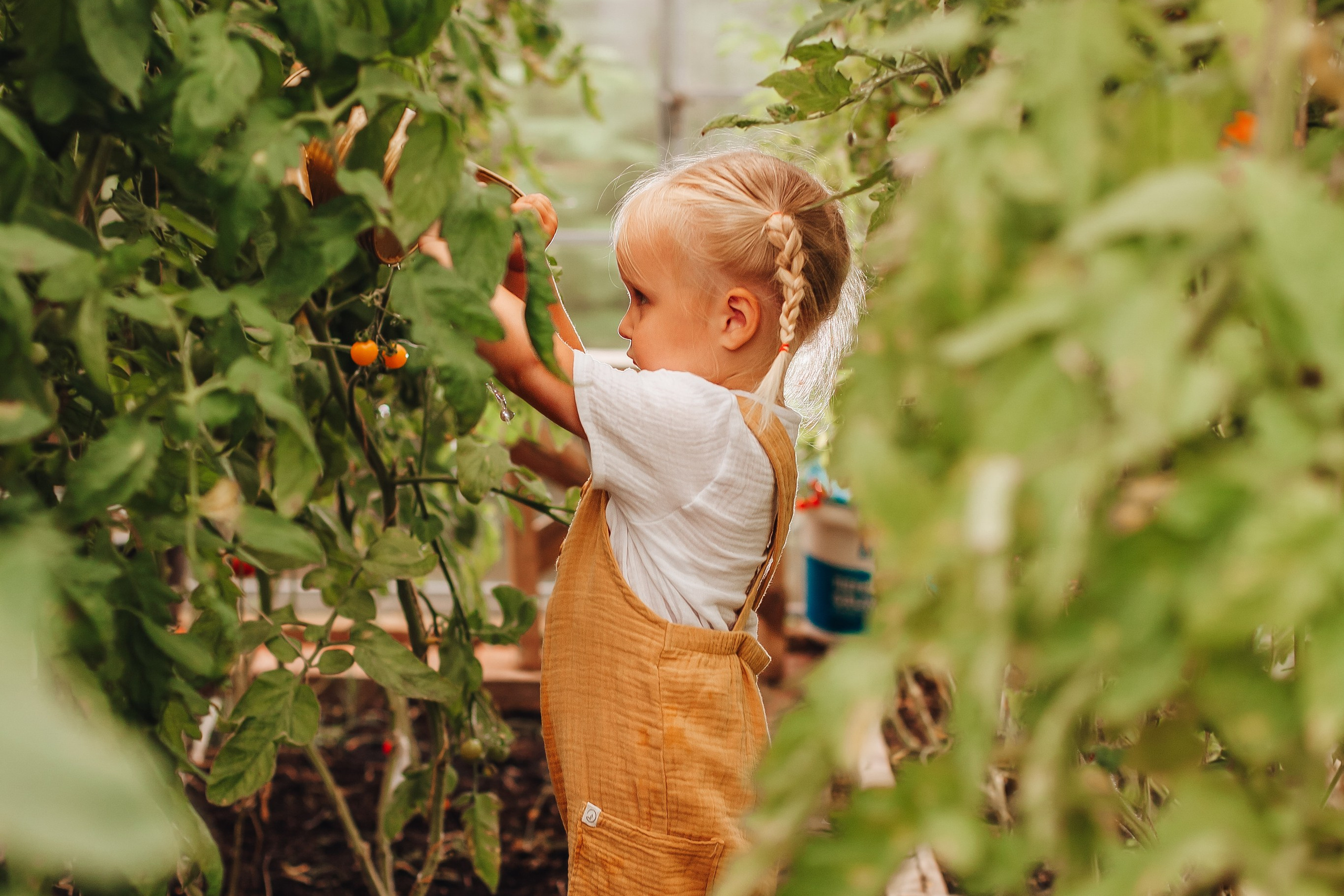 Там, где растет любовь
