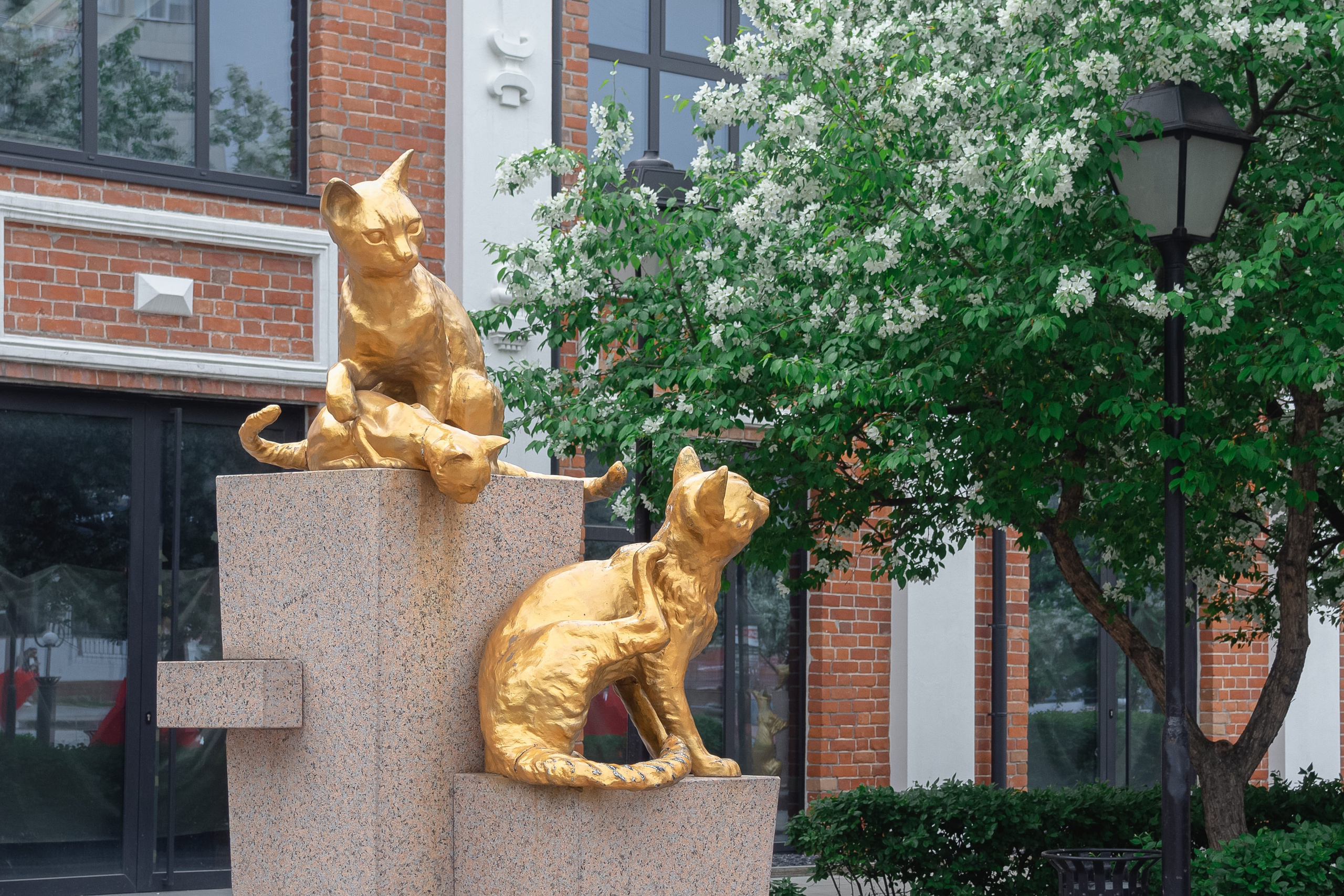 Сквер Сибирских кошек