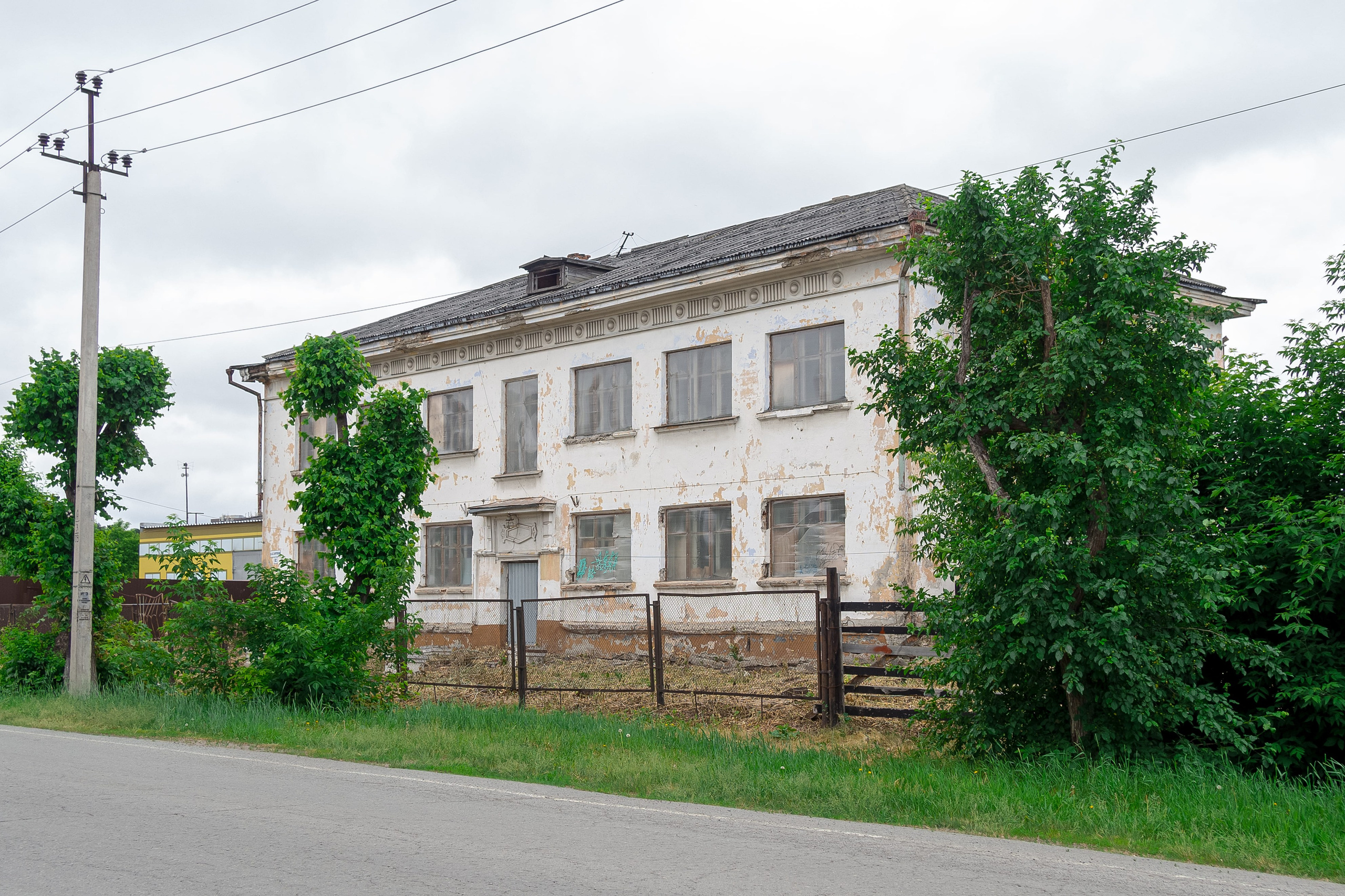 Бродячие собаки в городе