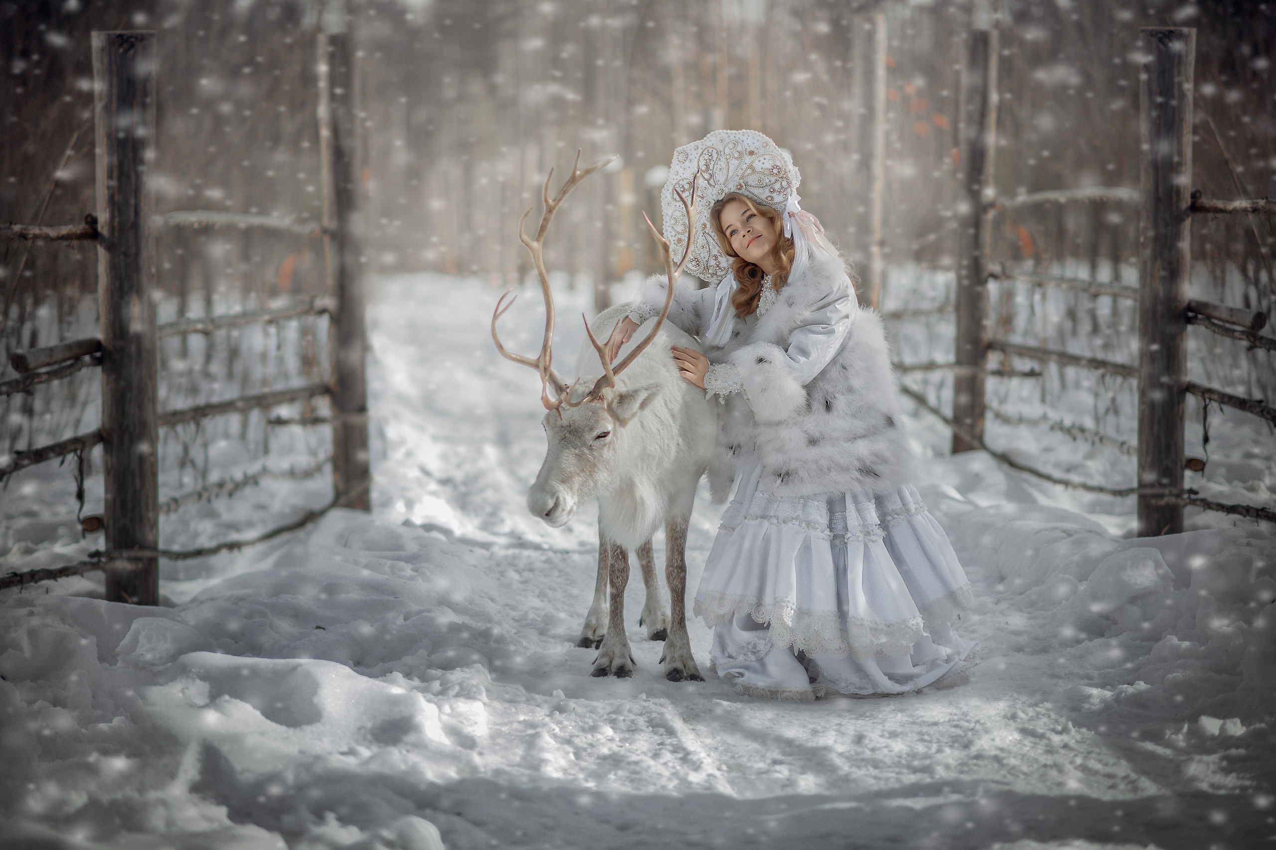 Фотопроект_ОЛЕНИ