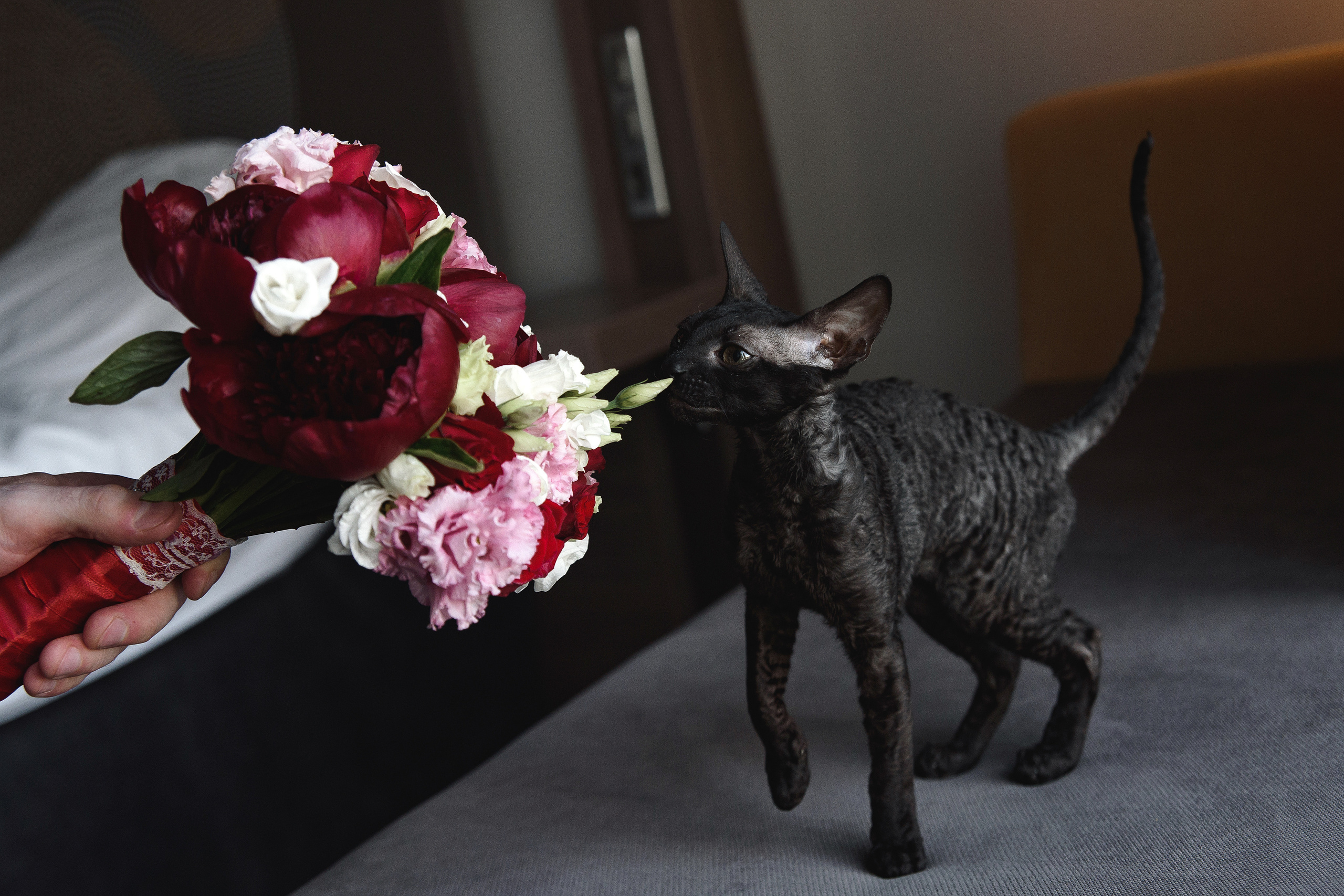 Алла и Андрей