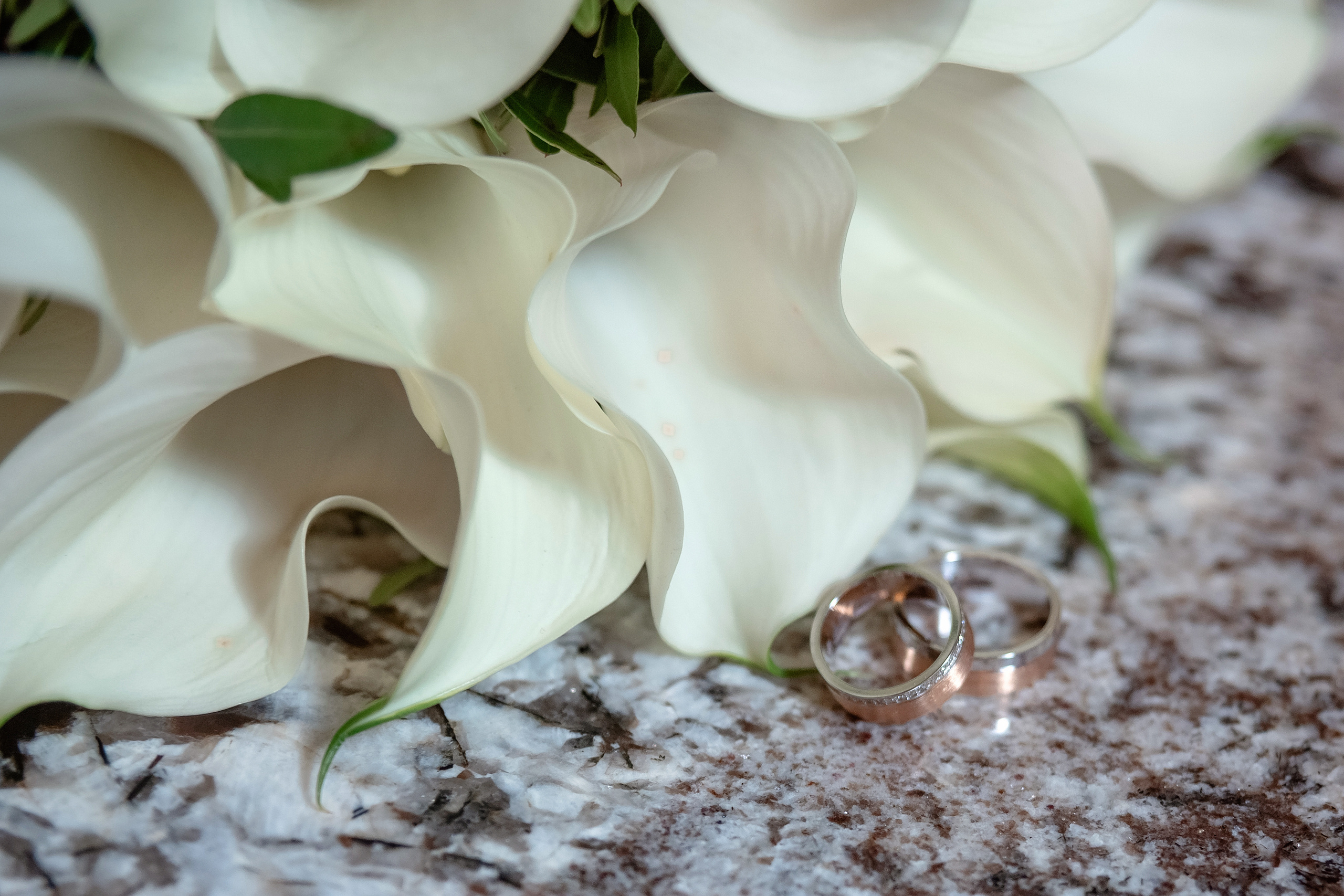 Ангелина и Артем