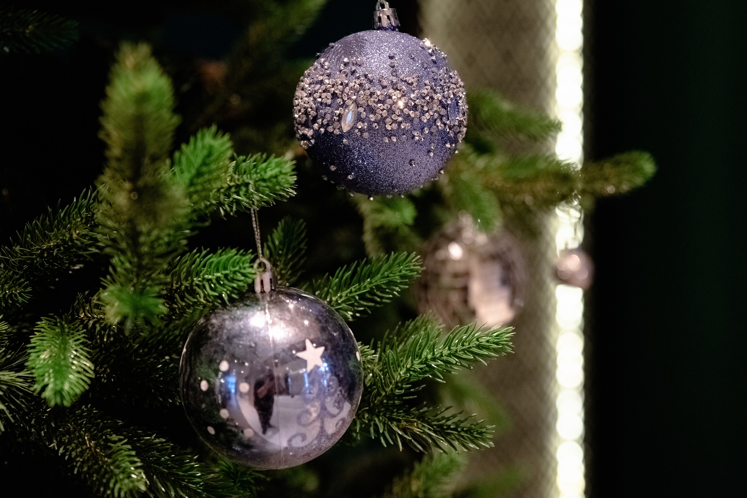 Корпоратив НОВОМЕД. (банер)