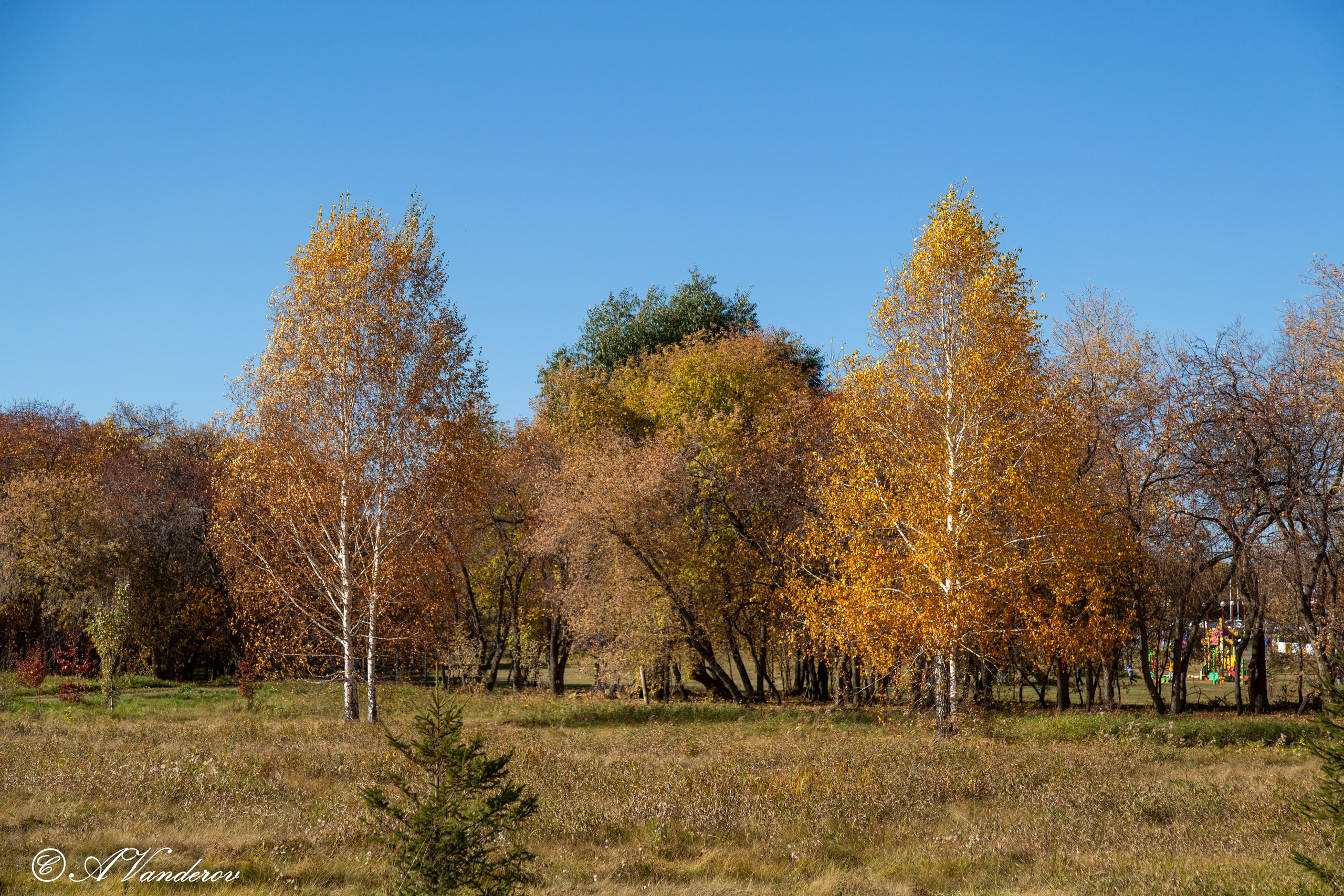 Красота природы
